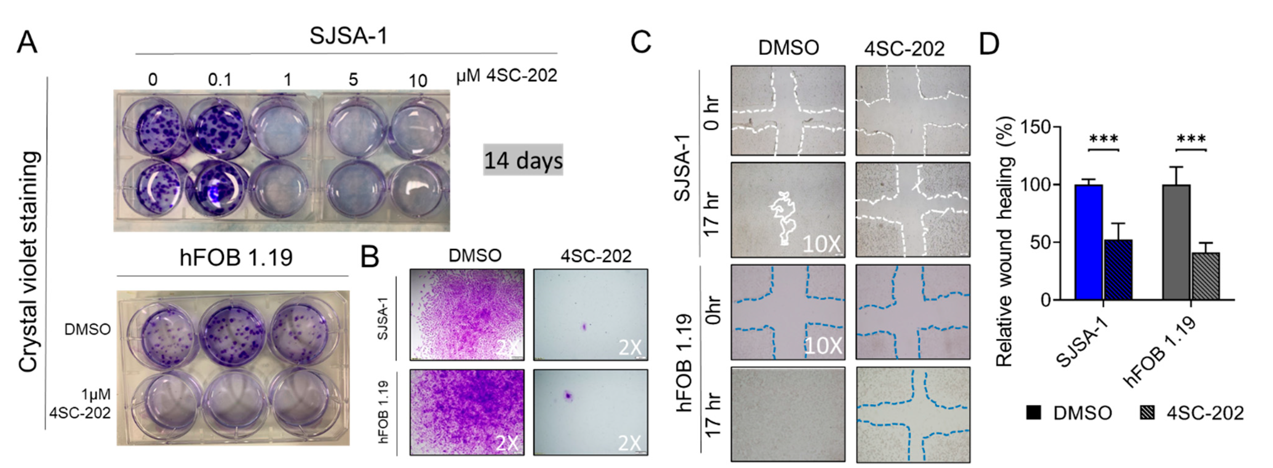 Cancers 13 04199 g003