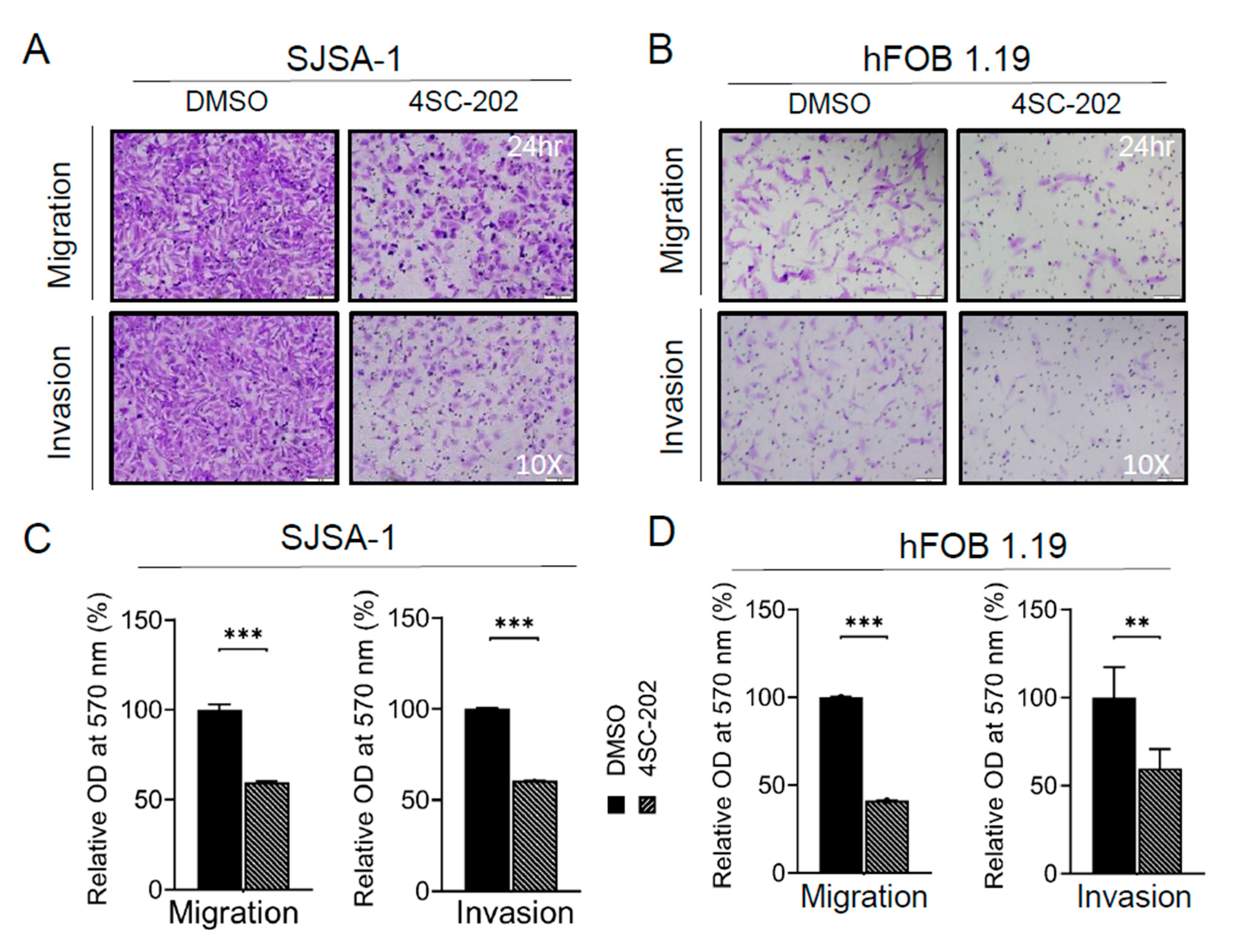 Cancers 13 04199 g004