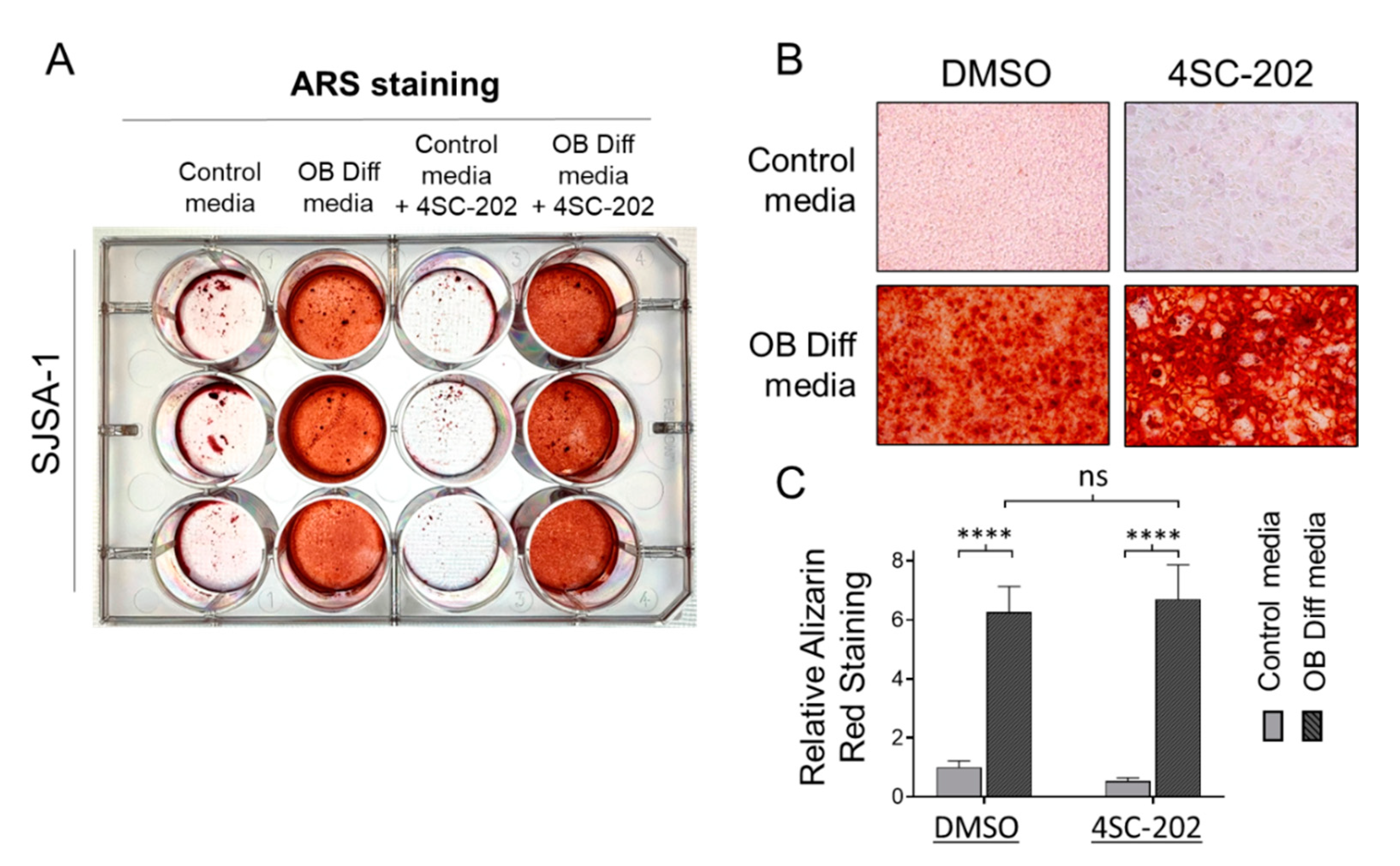 Cancers 13 04199 g006