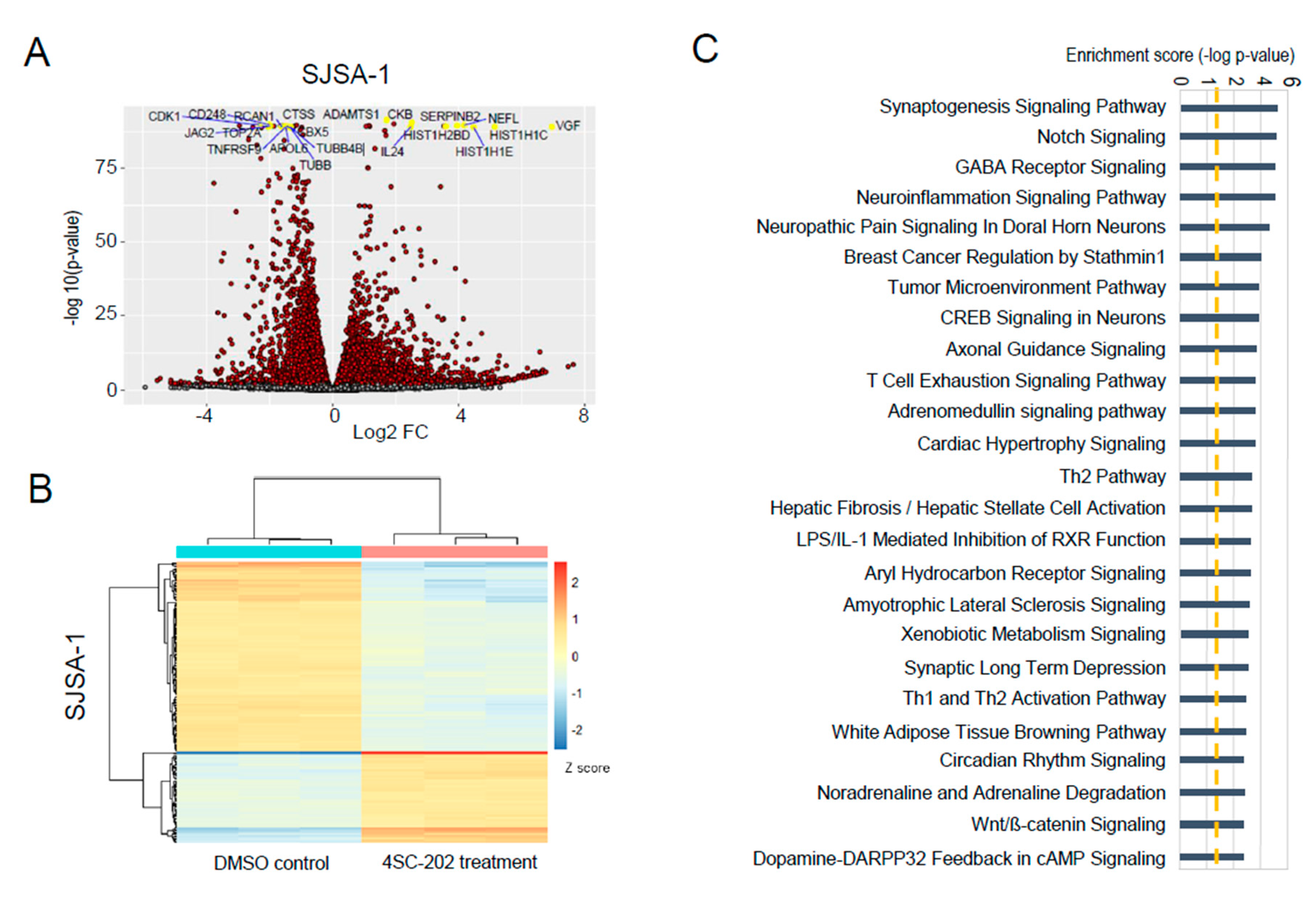 Cancers 13 04199 g007