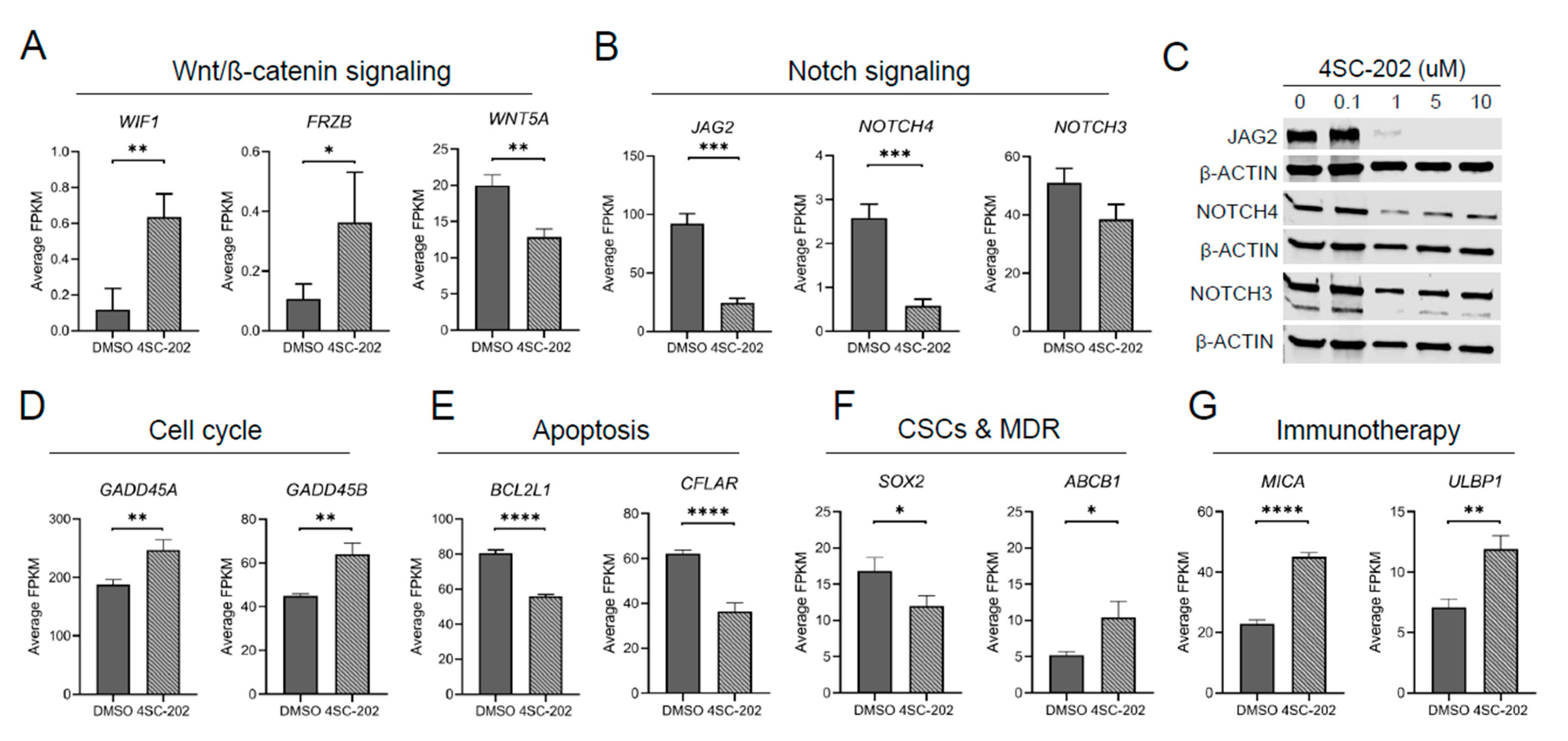 Cancers 13 04199 g008