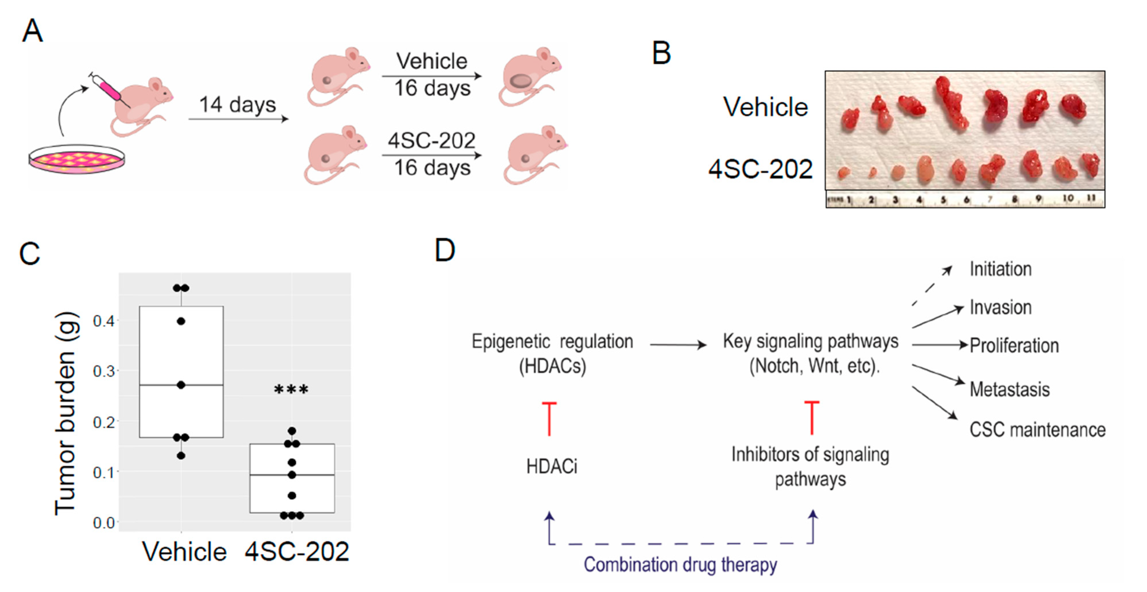 Cancers 13 04199 g009