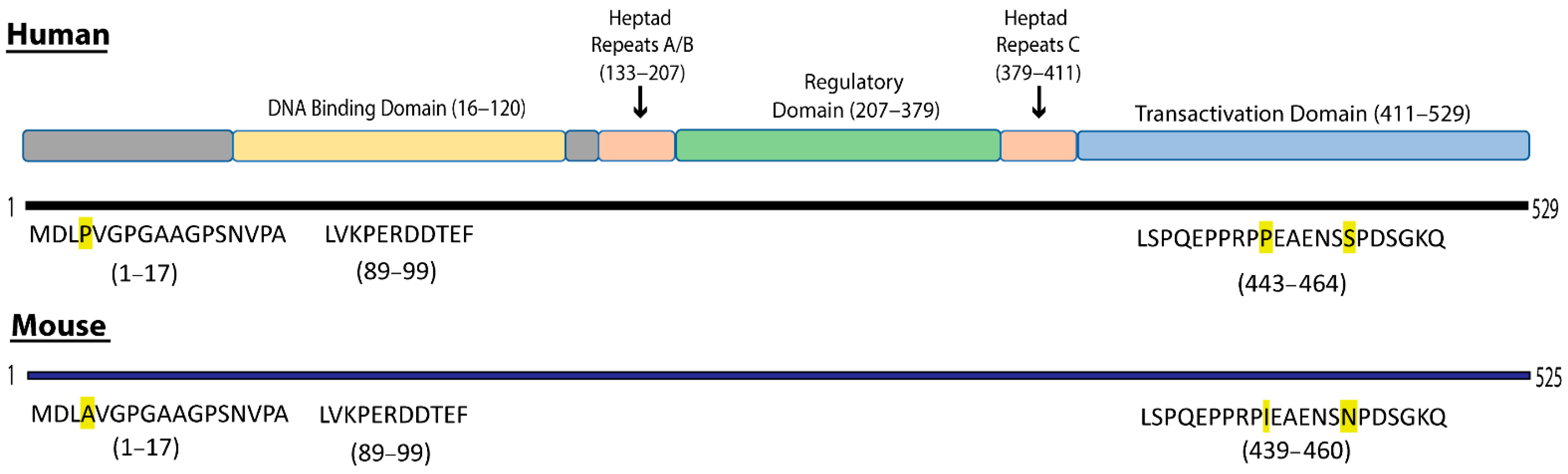 Cancers 13 04201 g001