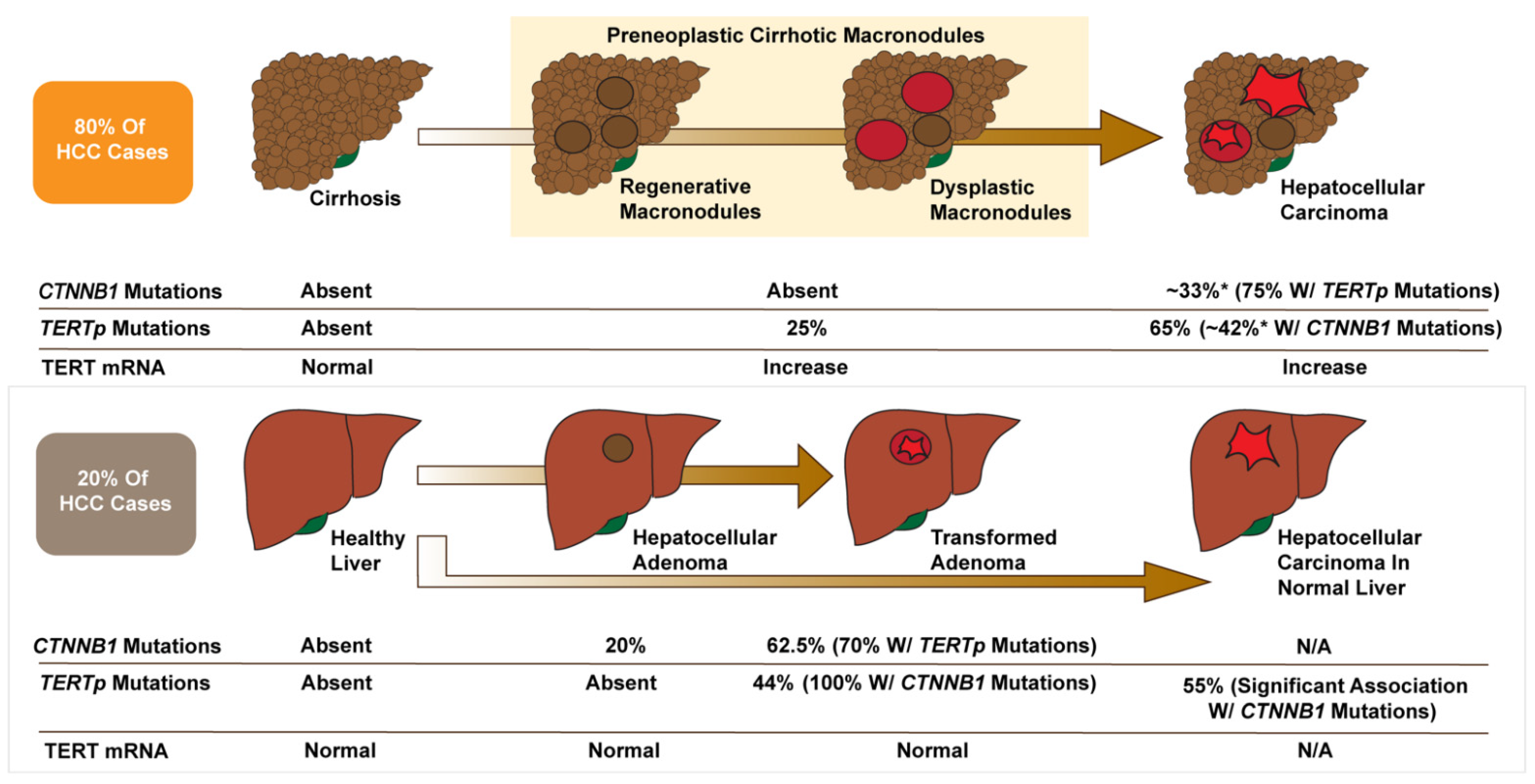 Cancers 13 04202 g003