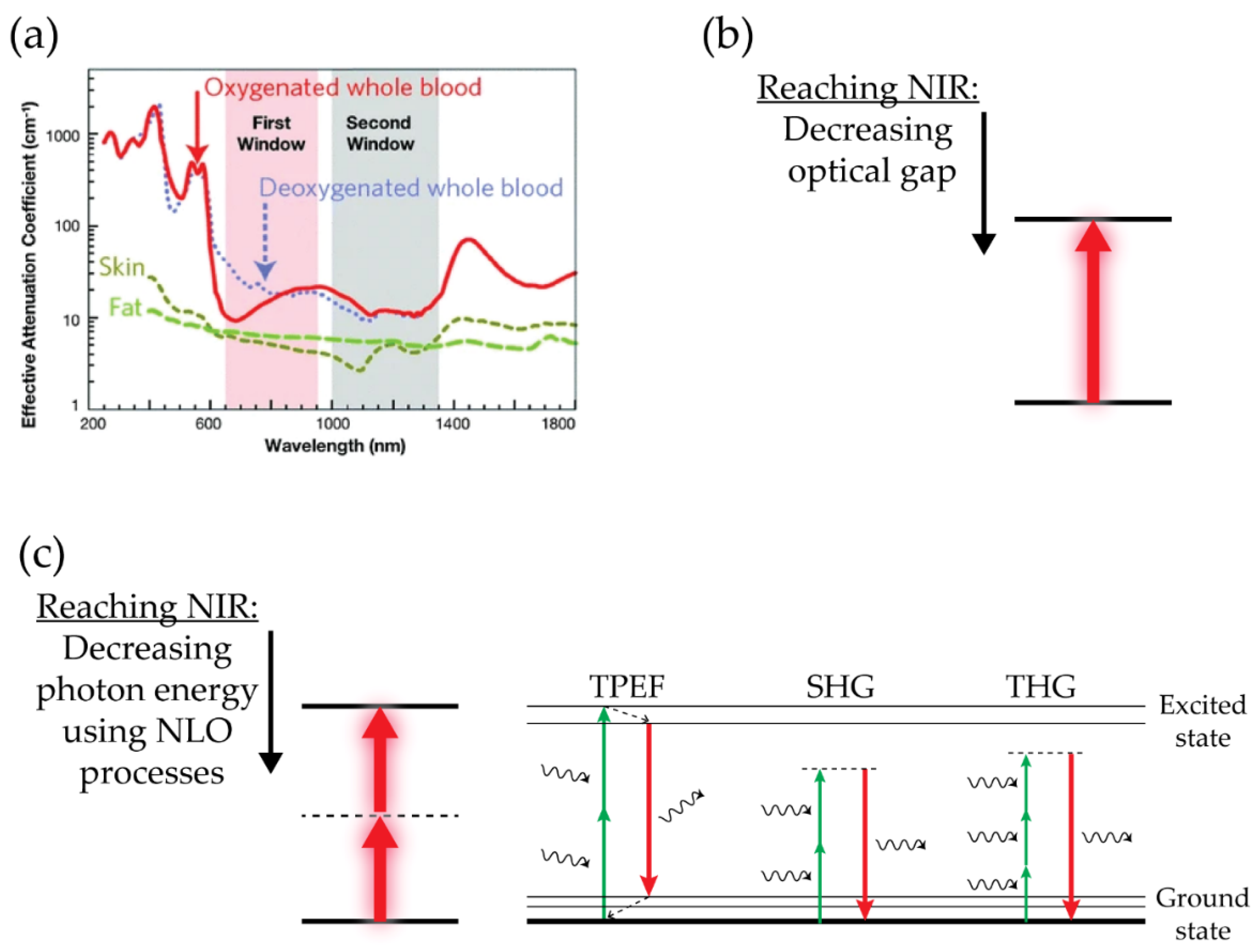 Cancers 13 04206 g001