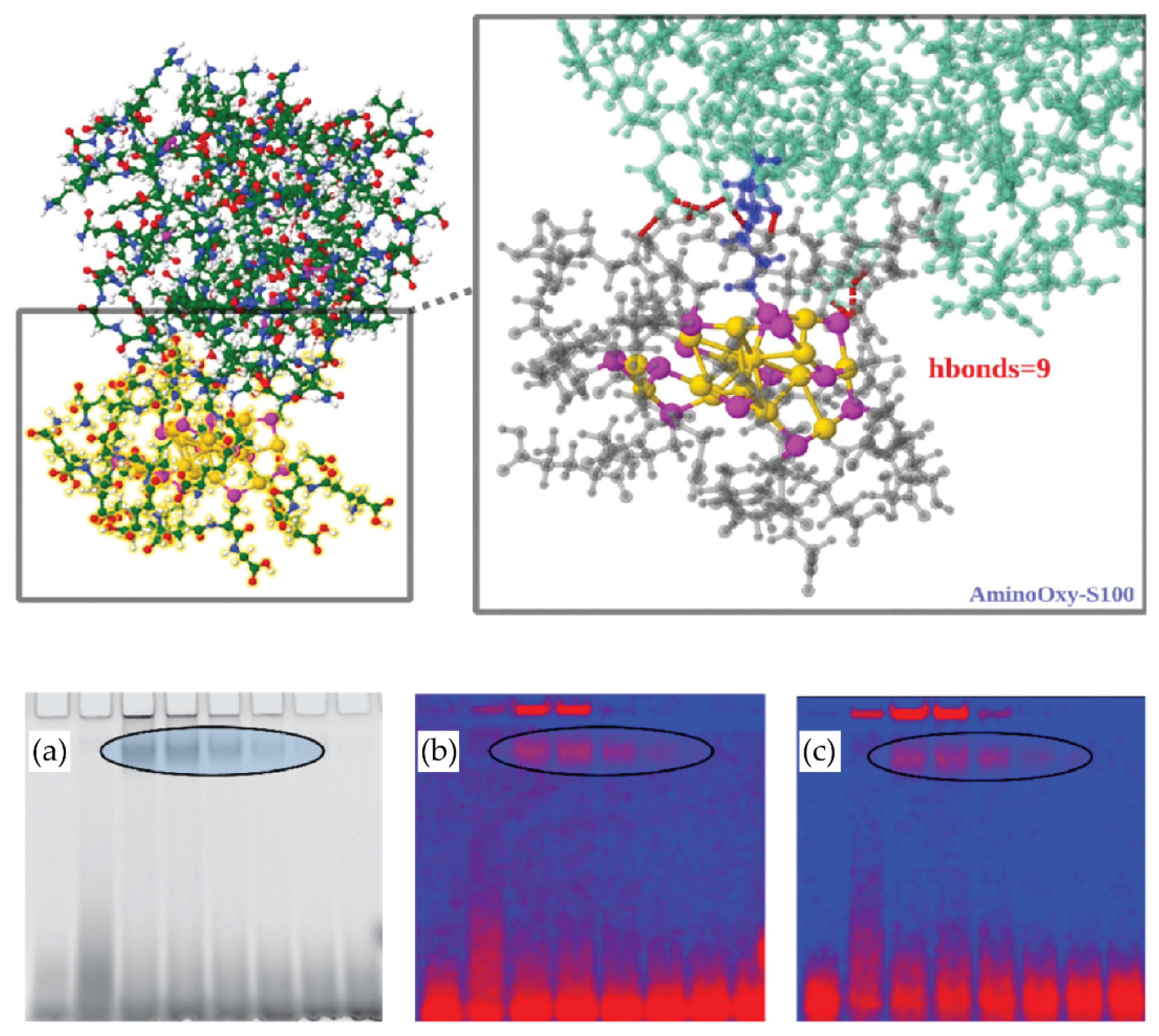 Cancers 13 04206 g006