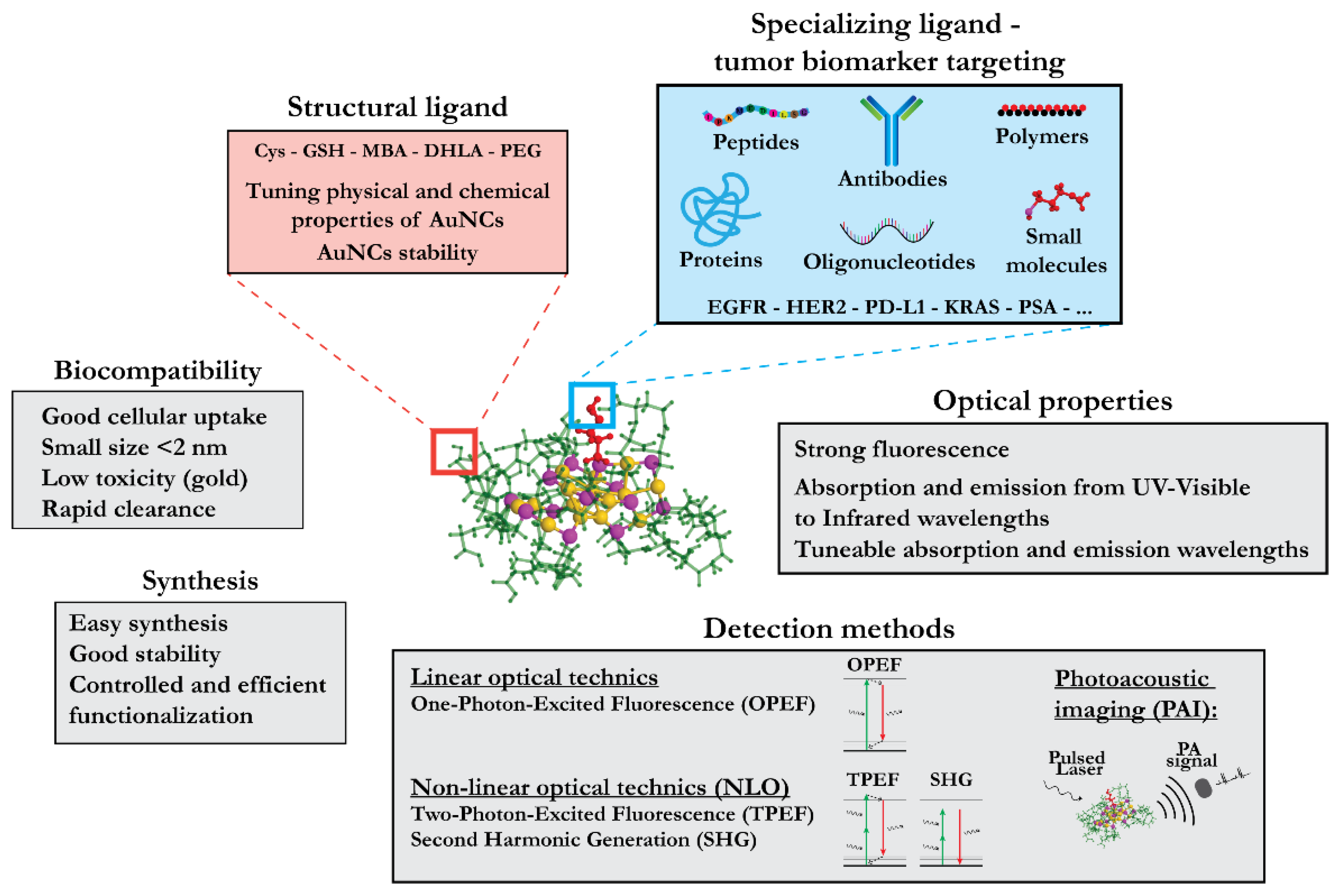 Cancers 13 04206 g007