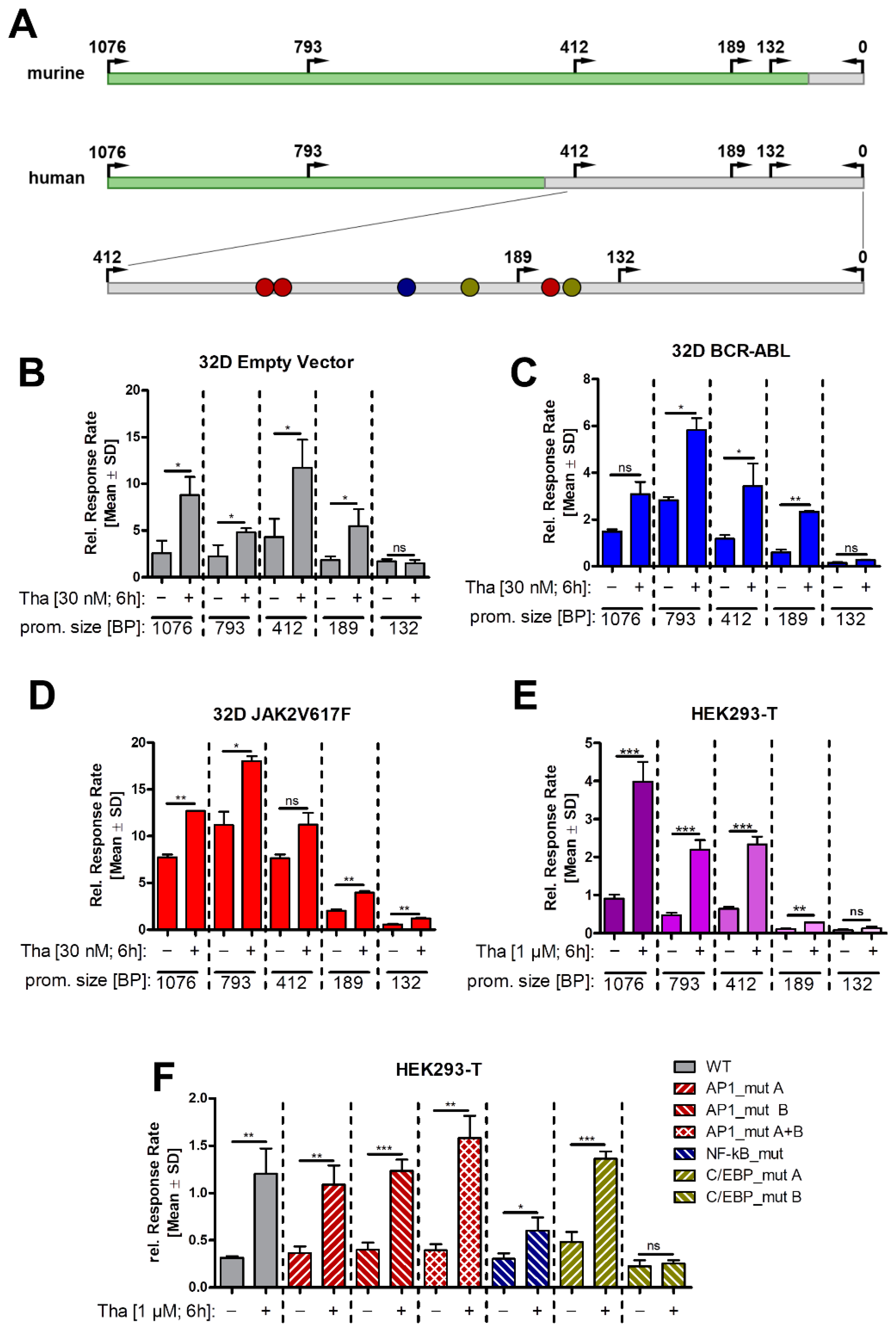 Cancers 13 04210 g005