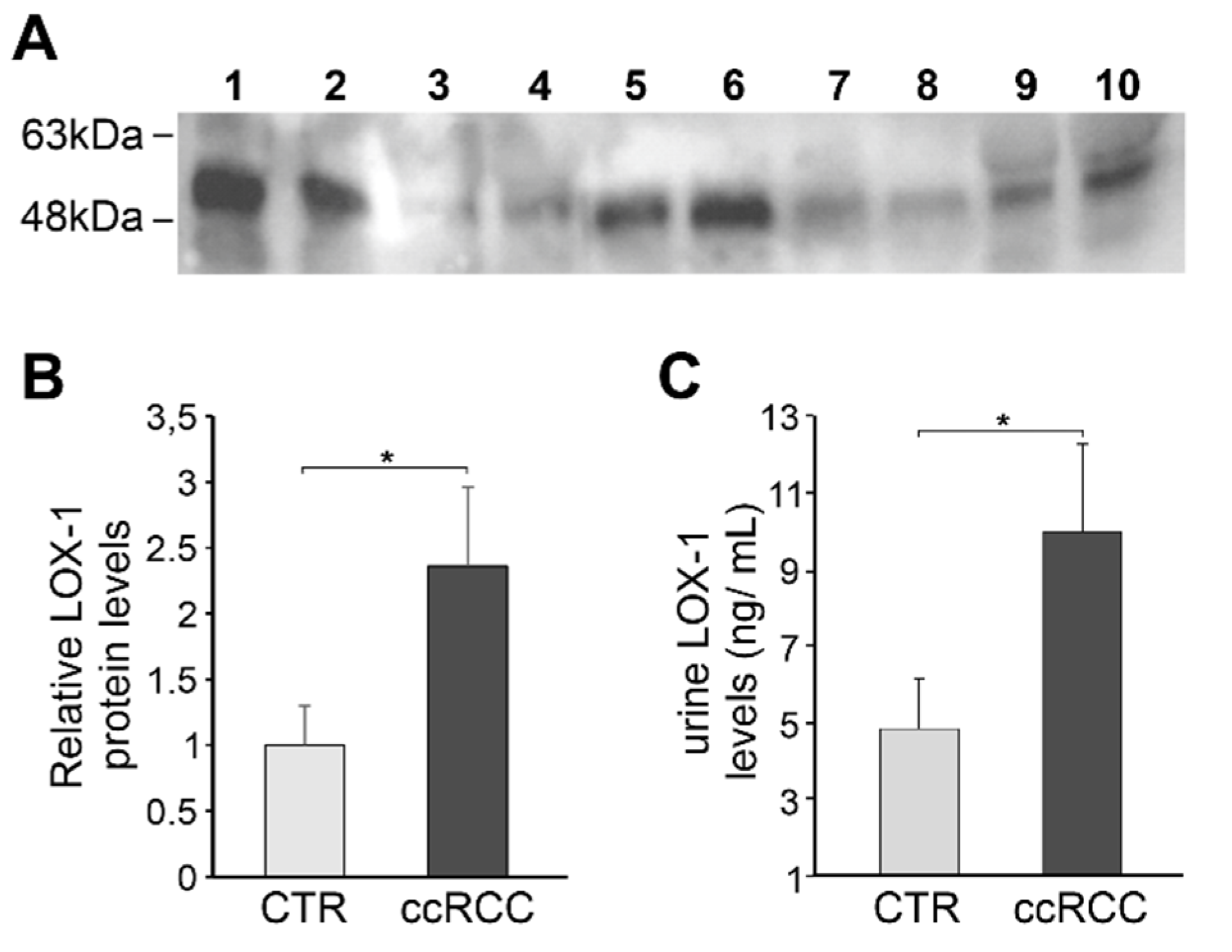 Cancers 13 04213 g005 Cancers 13 04213 g005