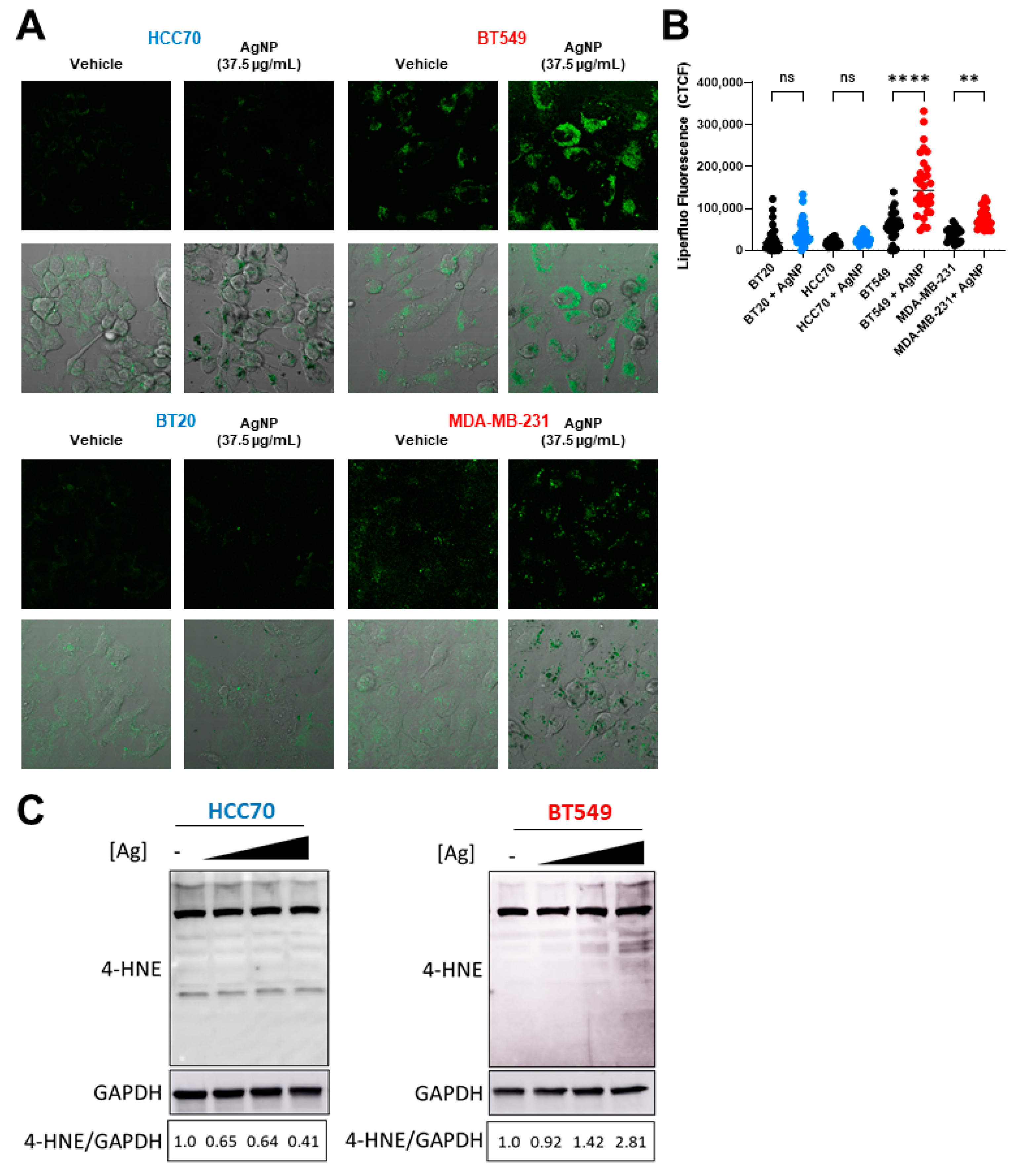 Cancers 13 04217 g004