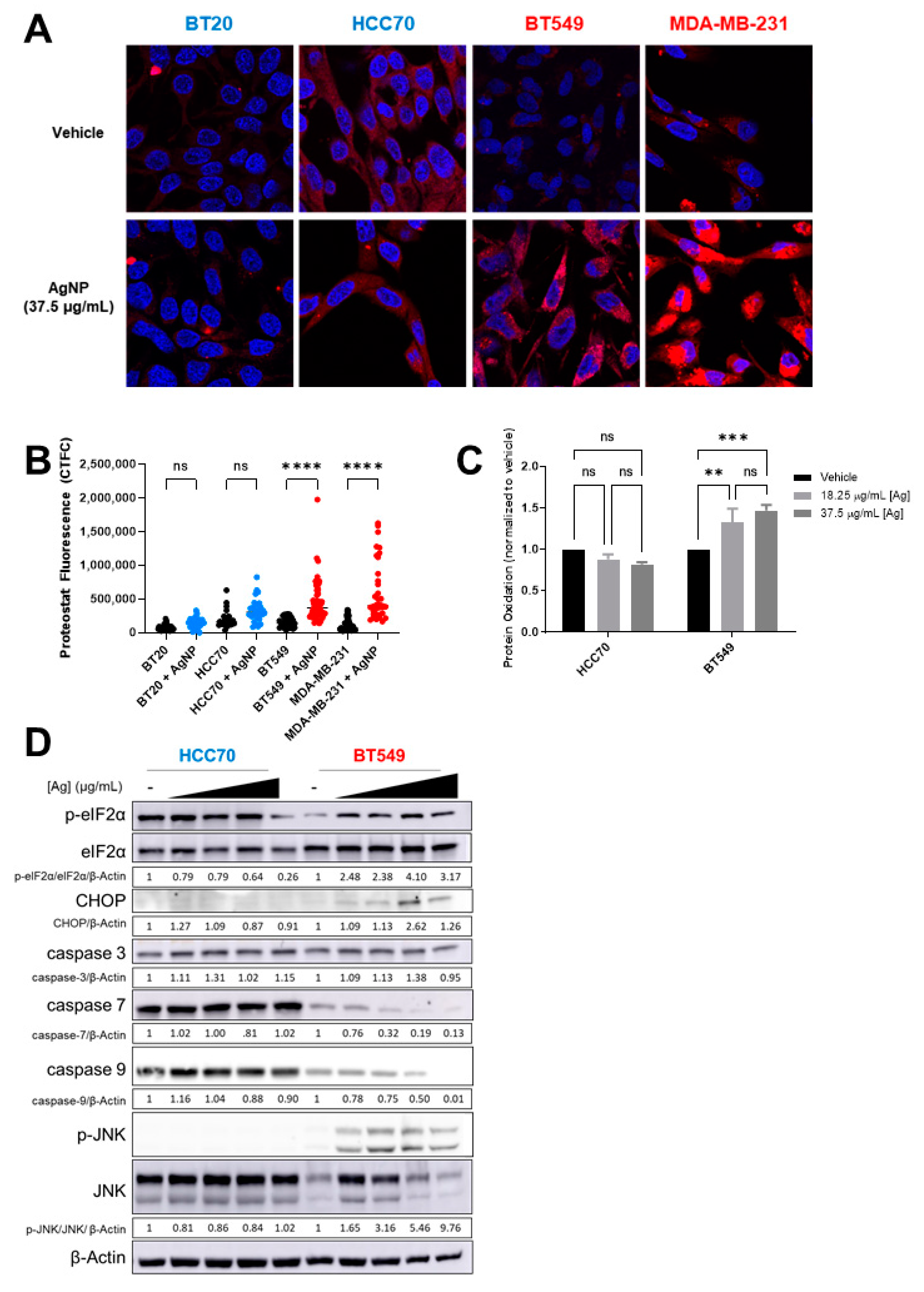 Cancers 13 04217 g005