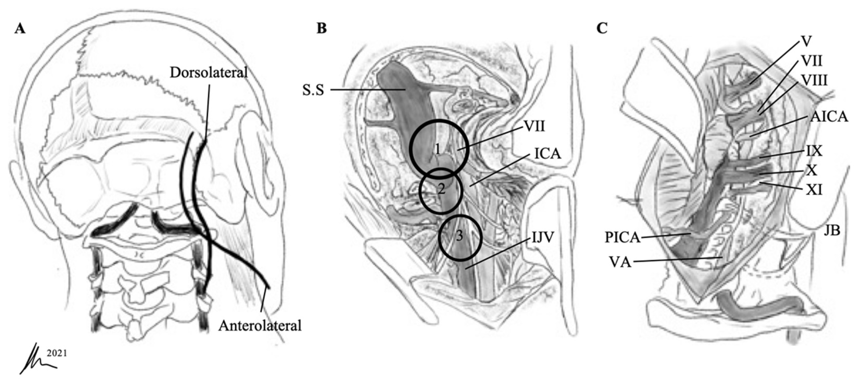 Cancers 13 04218 g002