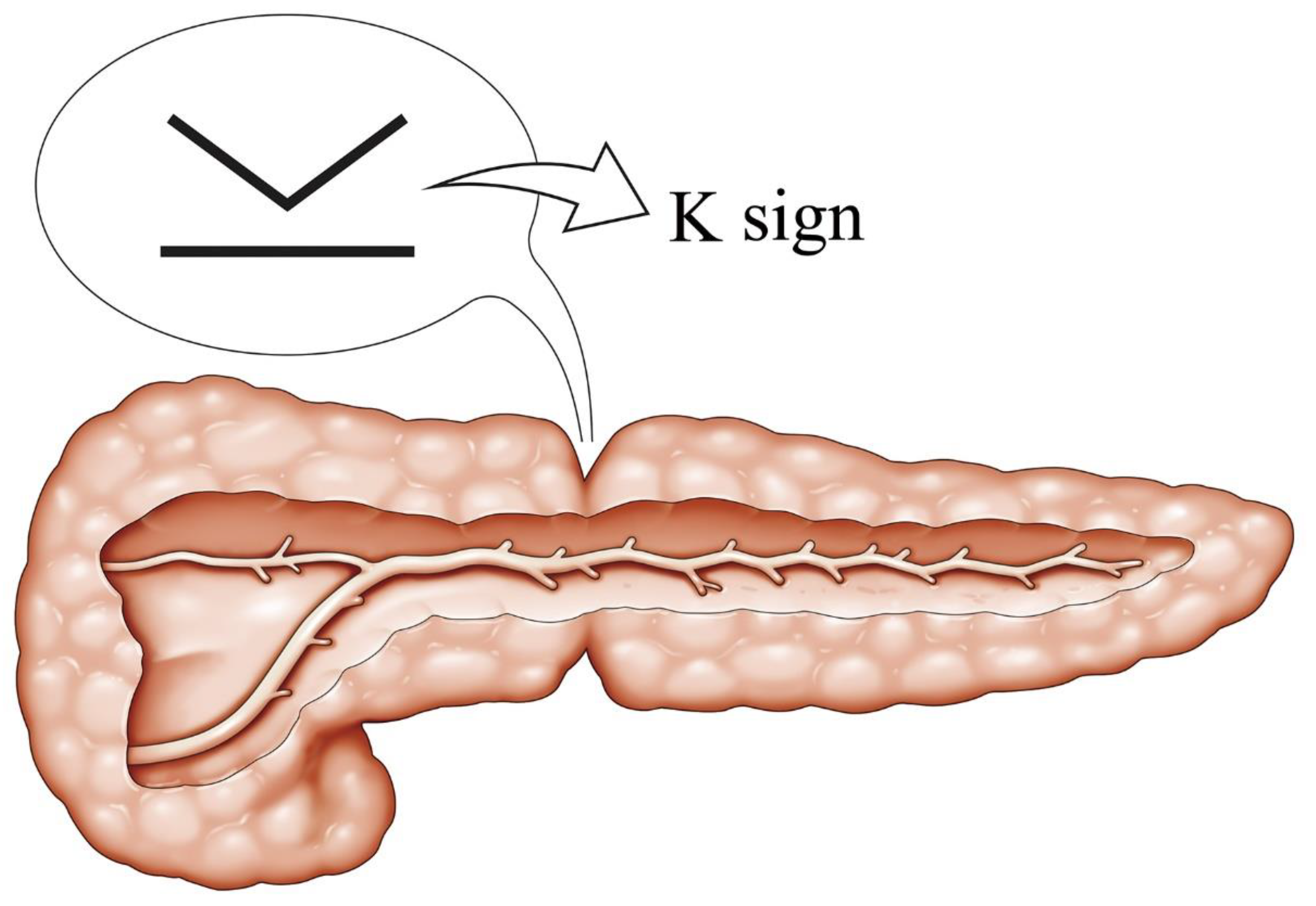 Cancers 13 04222 g002