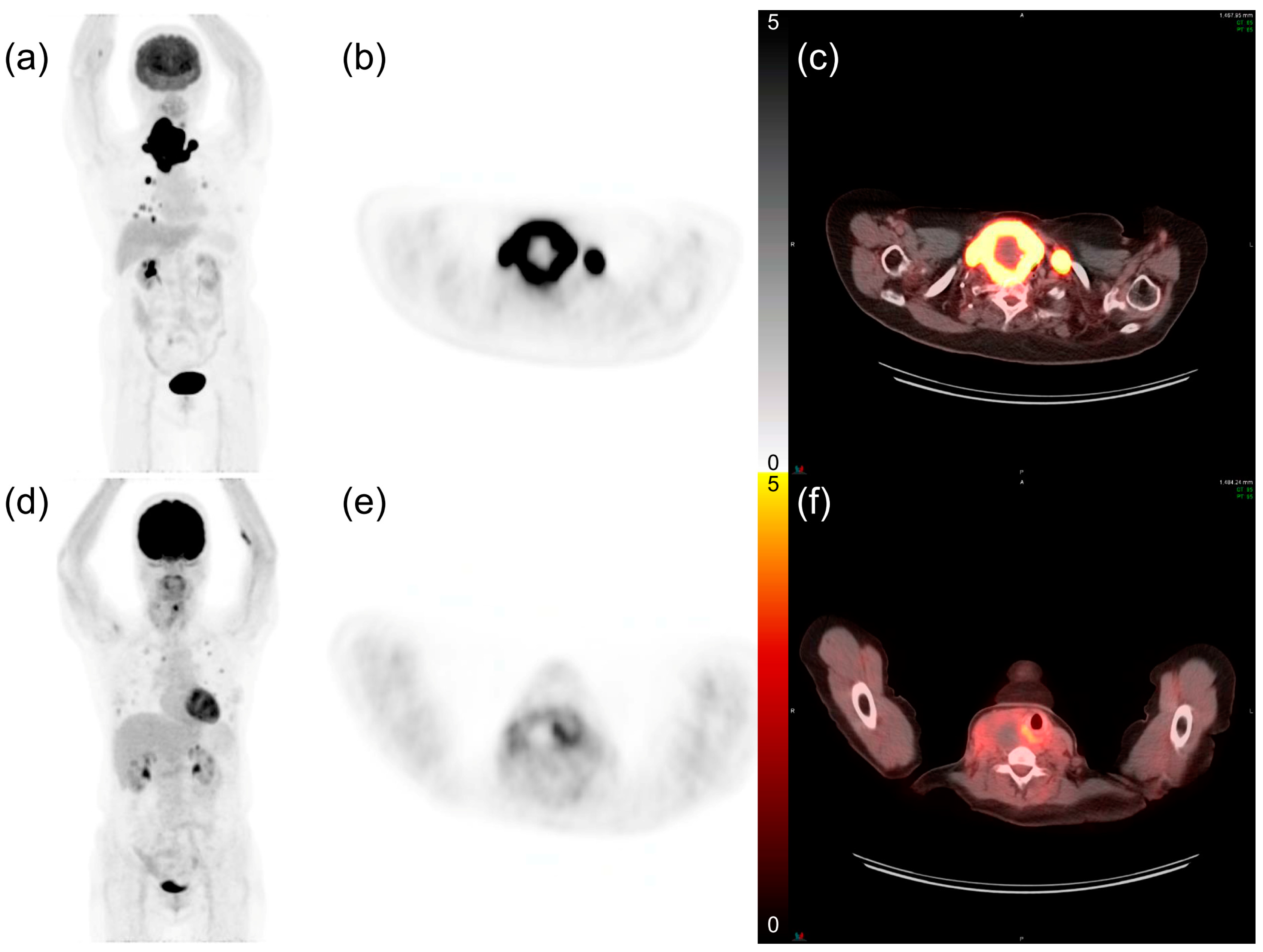 Cancers 13 04228 g001 Cancers 13 04228 g001