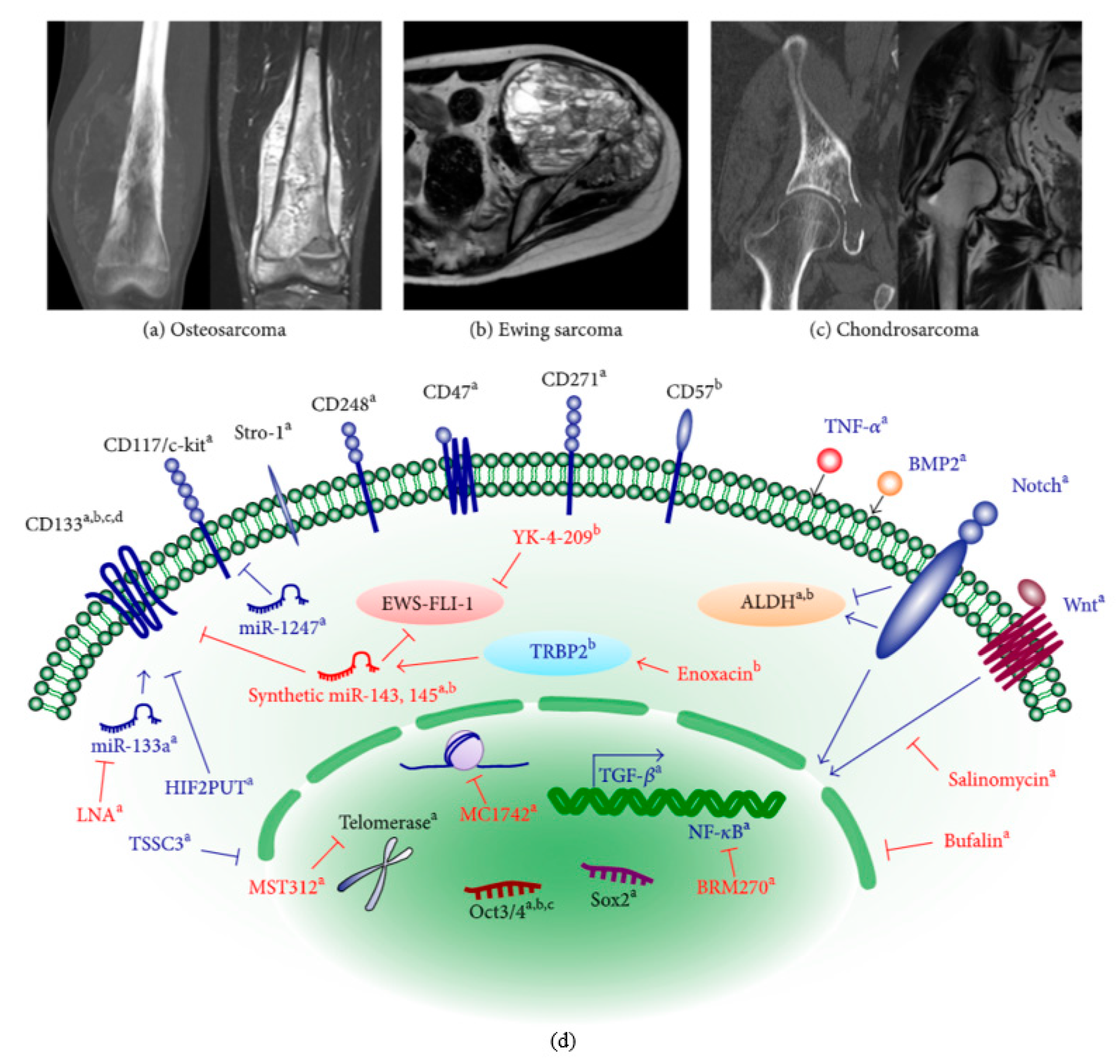 Cancers 13 04229 g002
