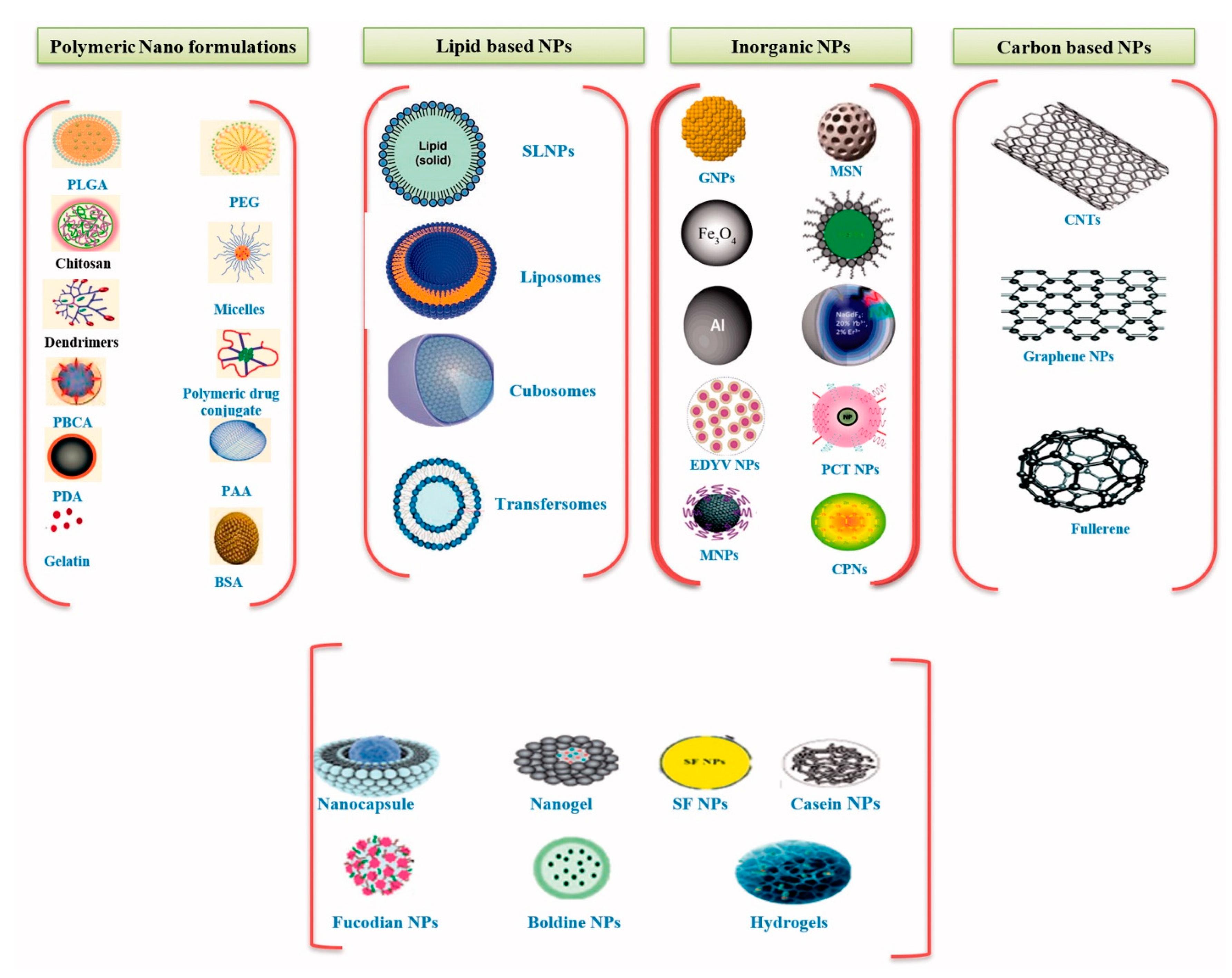 Cancers 13 04229 g005
