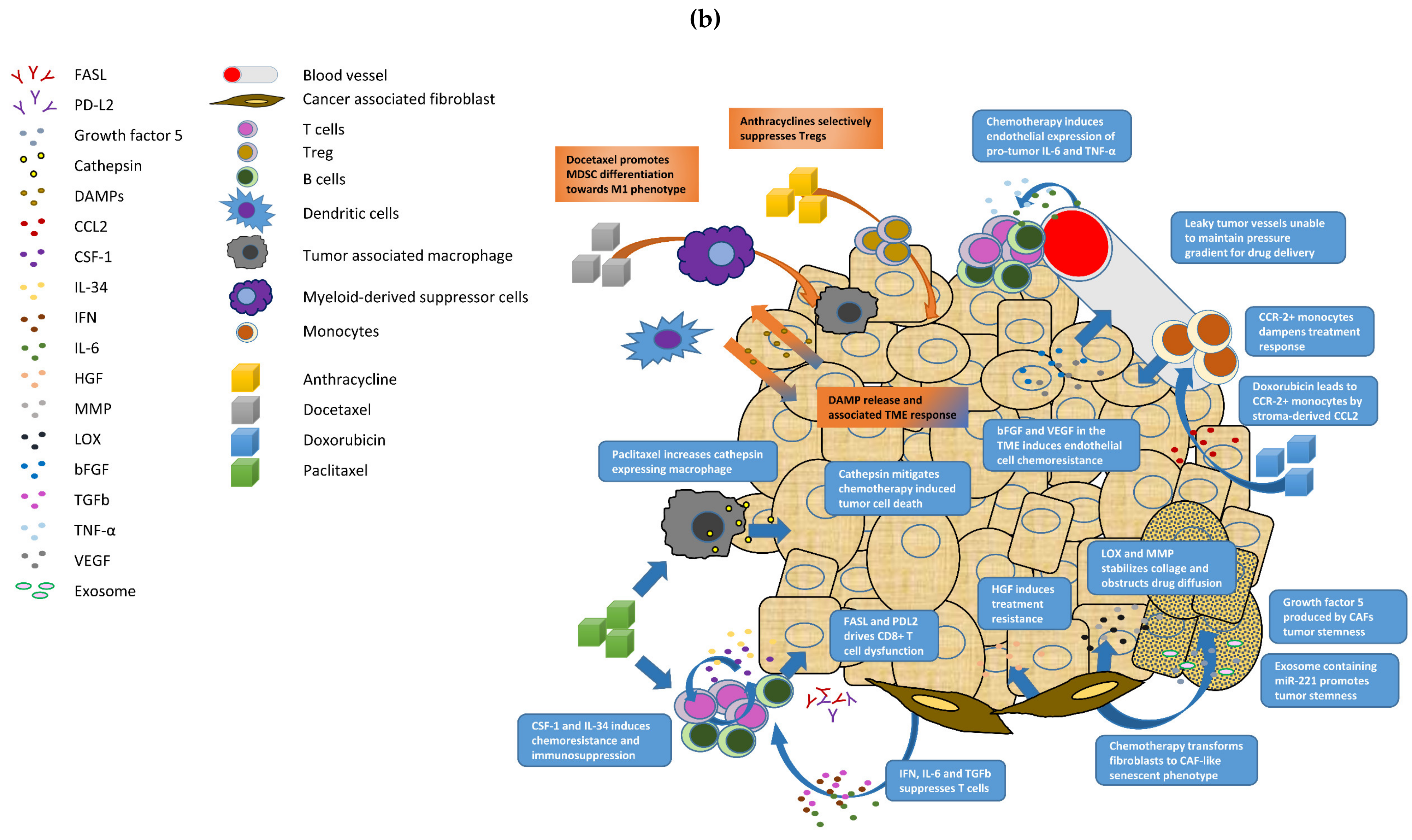 Cancers 13 04233 g001b