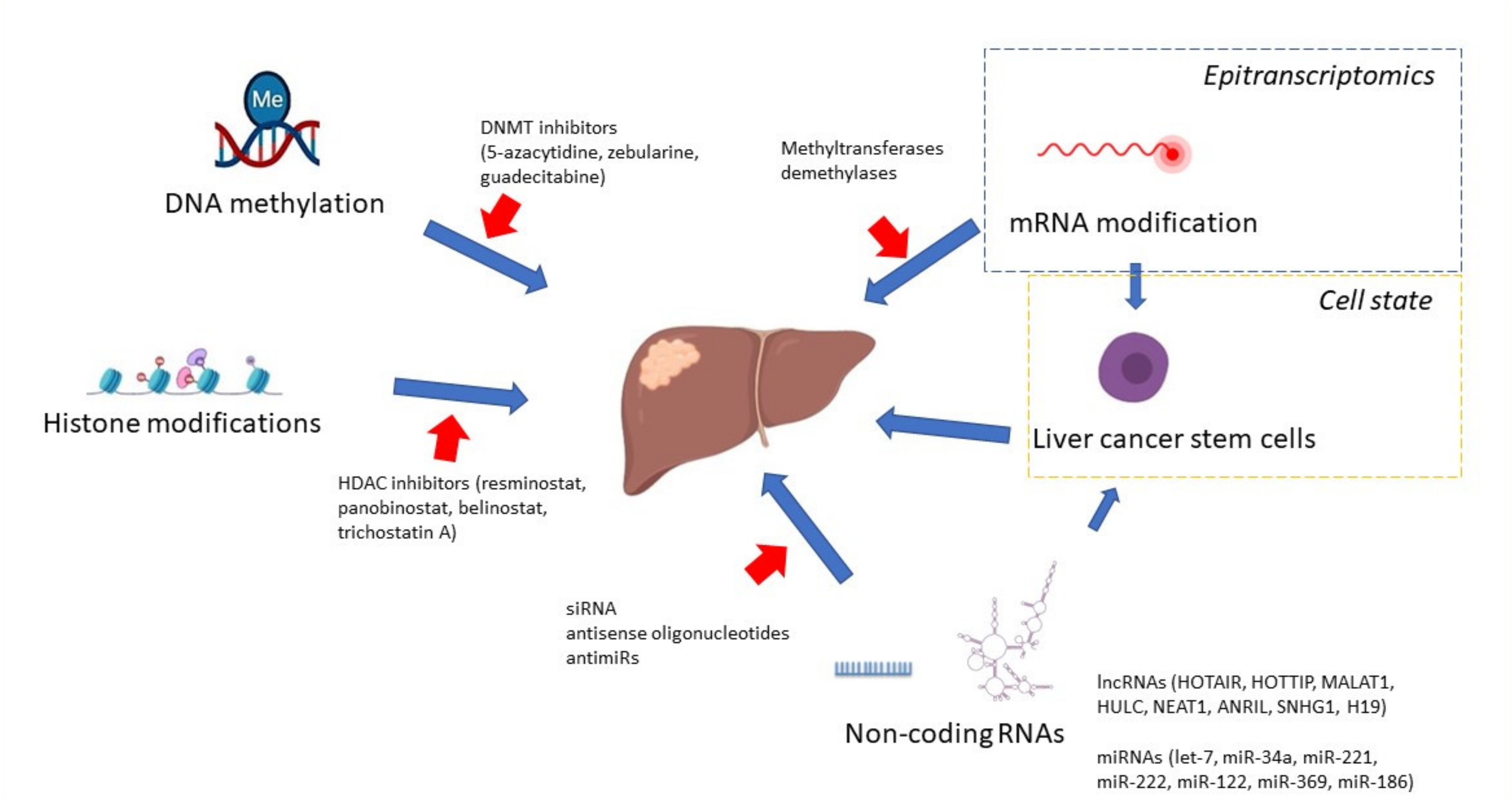 Cancers 13 04237 g001