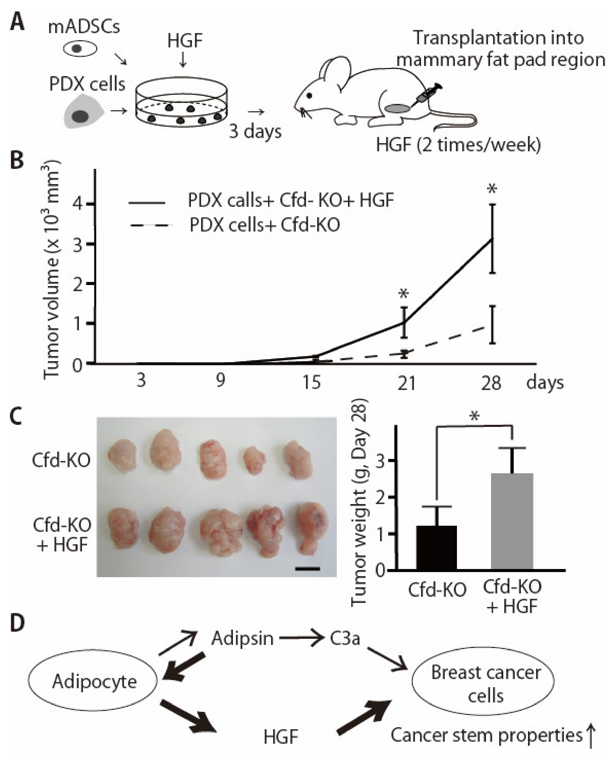 Cancers 13 04238 g005