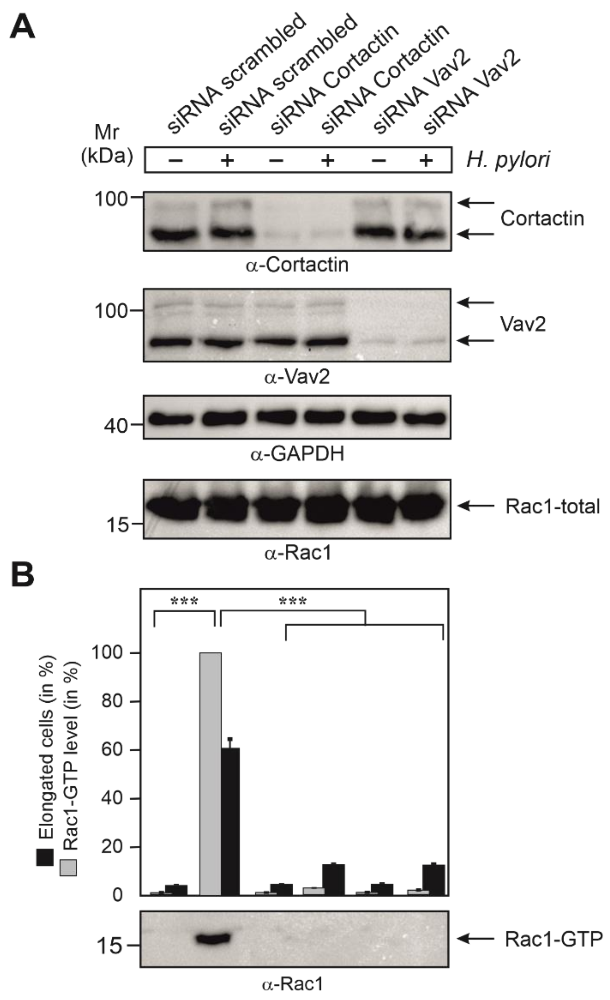 Cancers 13 04241 g006