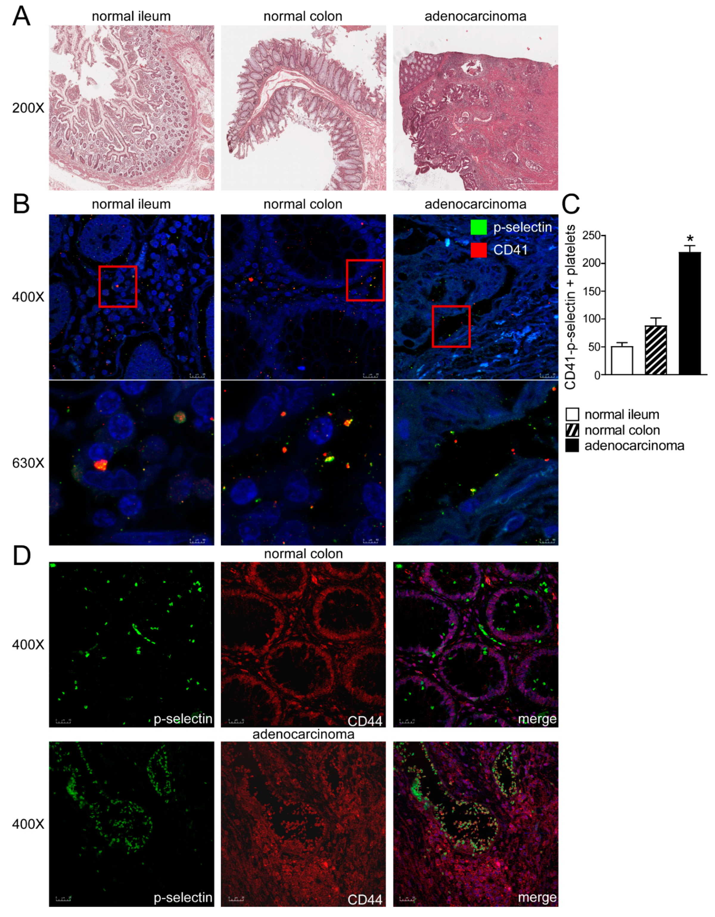 Cancers 13 04243 g001