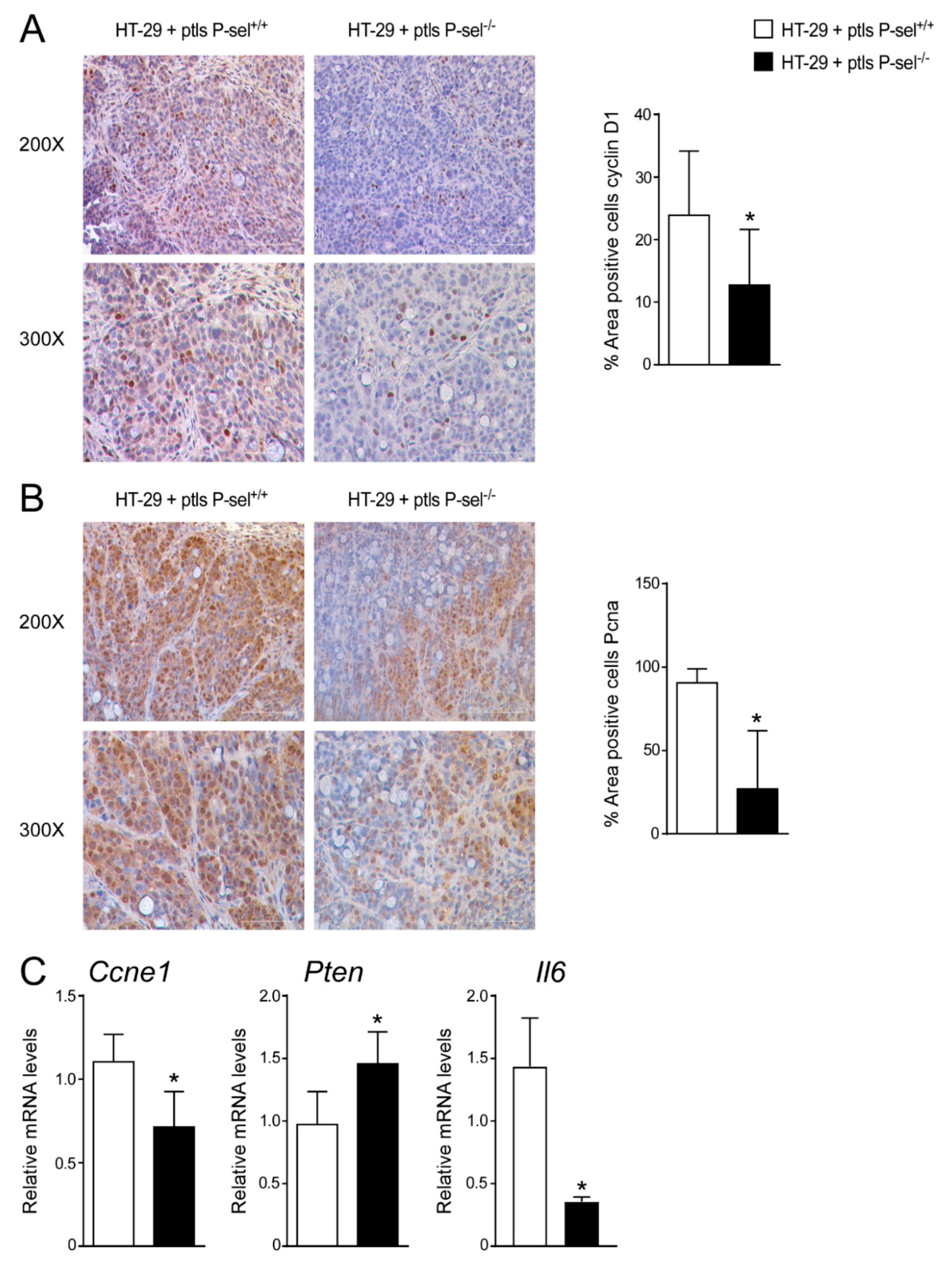 Cancers 13 04243 g003