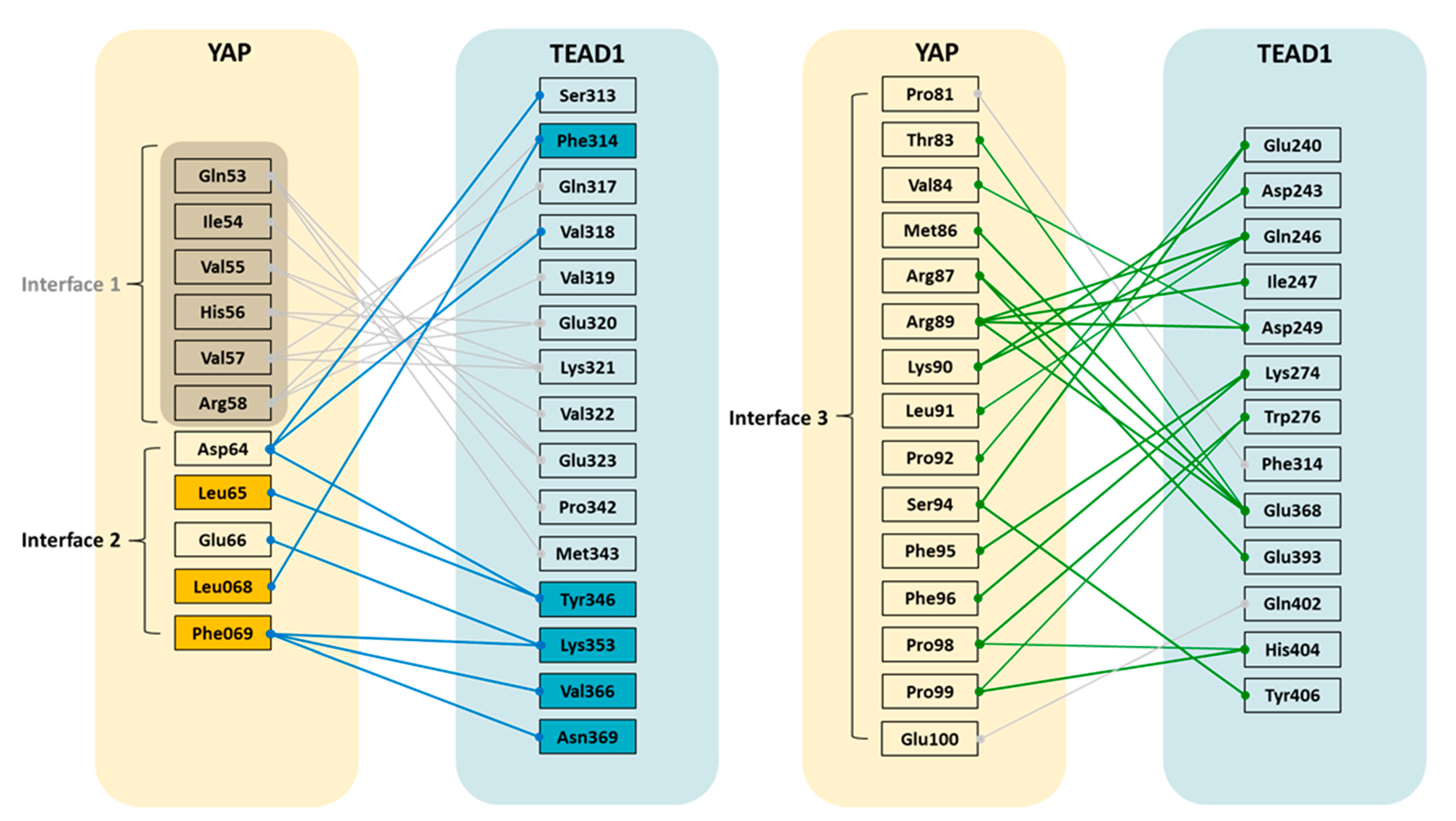 Cancers 13 04246 g001 Cancers 13 04246 g001