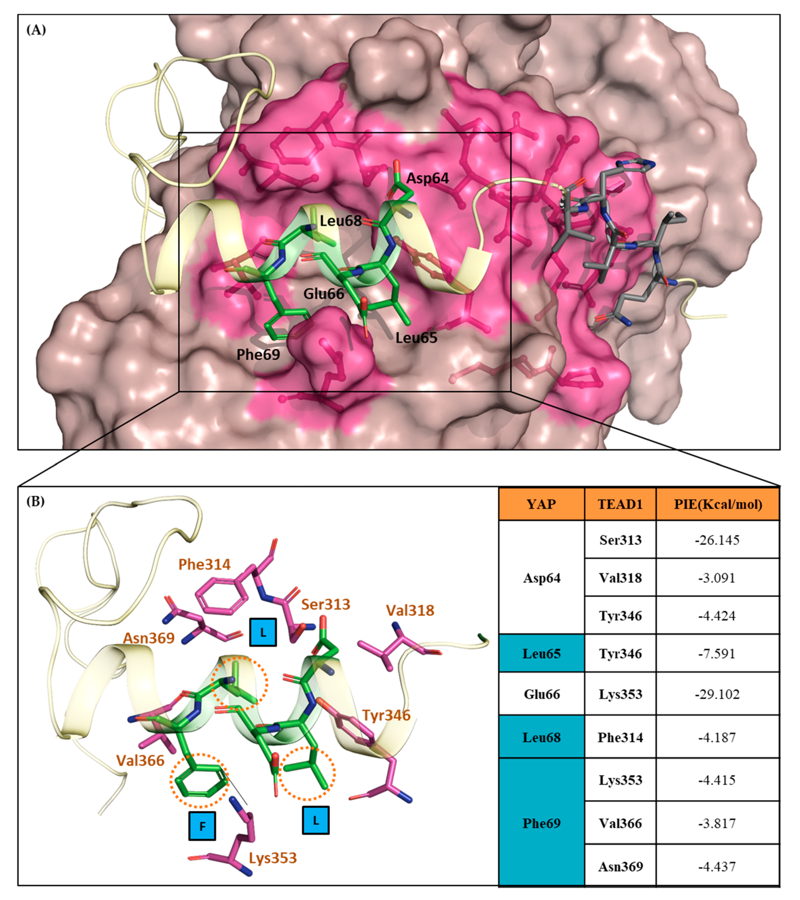 Cancers 13 04246 g002 Cancers 13 04246 g002