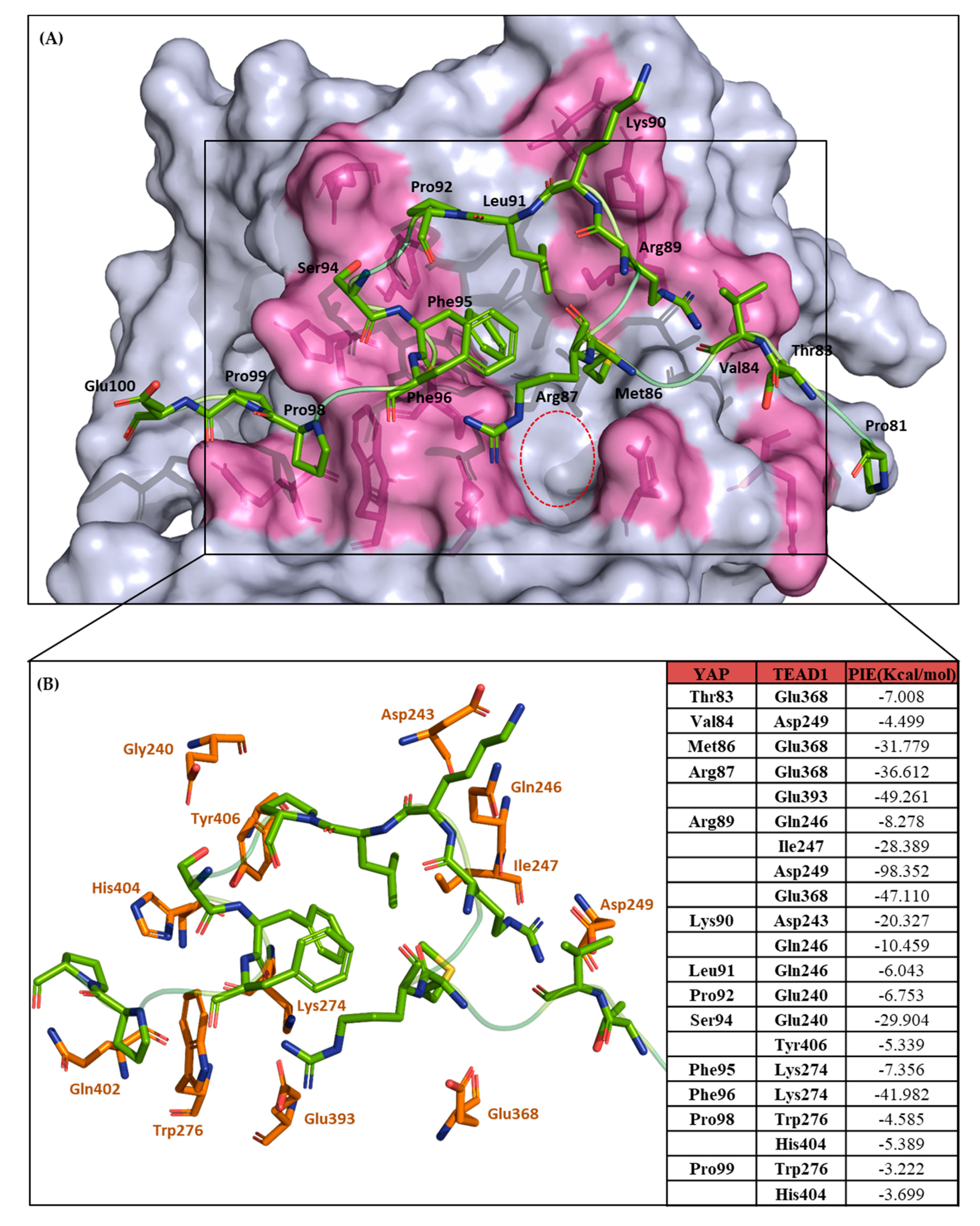 Cancers 13 04246 g003 Cancers 13 04246 g003