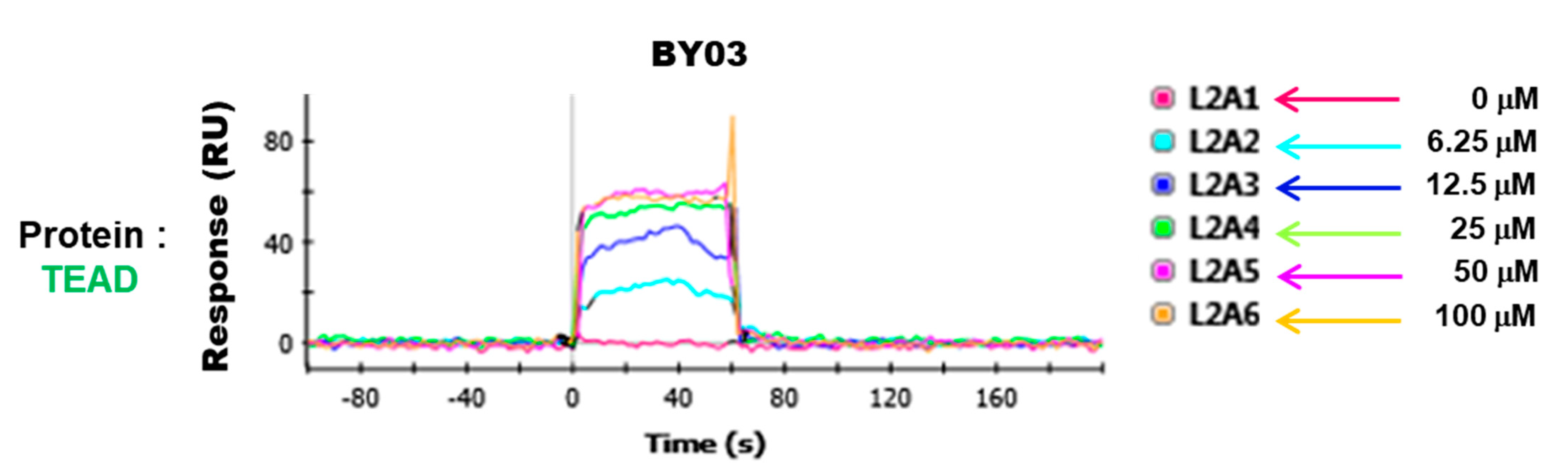 Cancers 13 04246 g008 Cancers 13 04246 g008