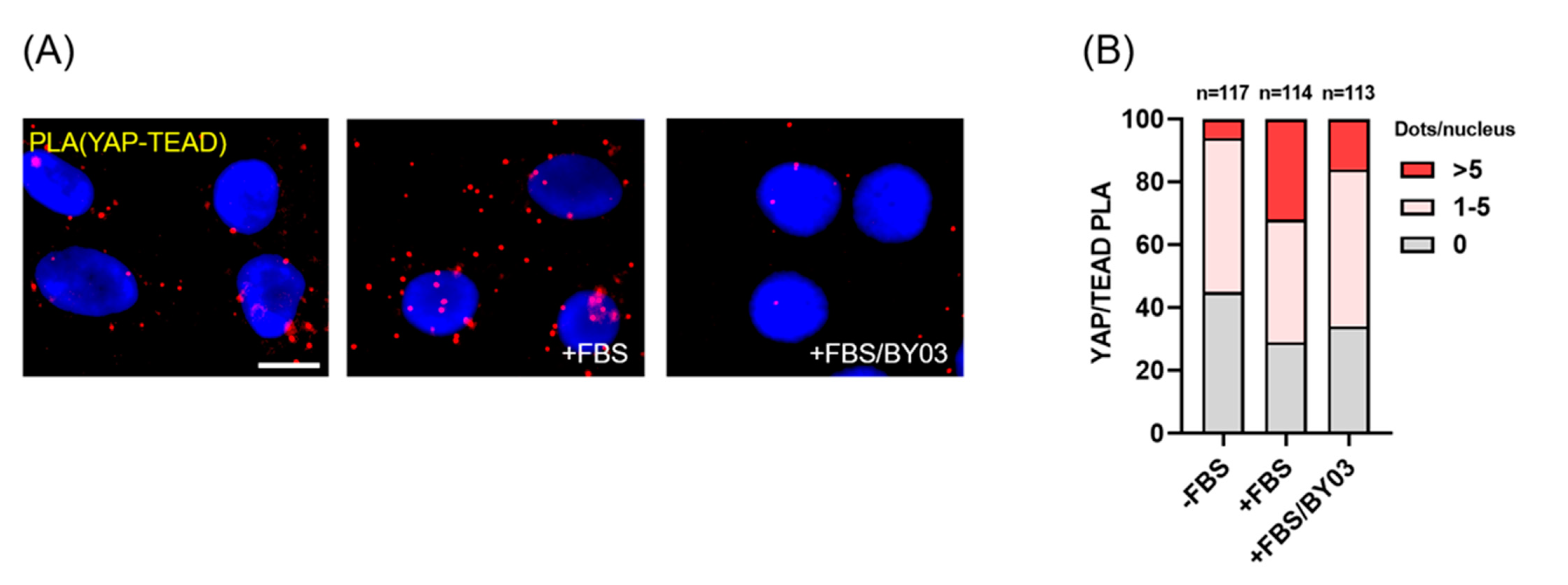 Cancers 13 04246 g009 Cancers 13 04246 g009