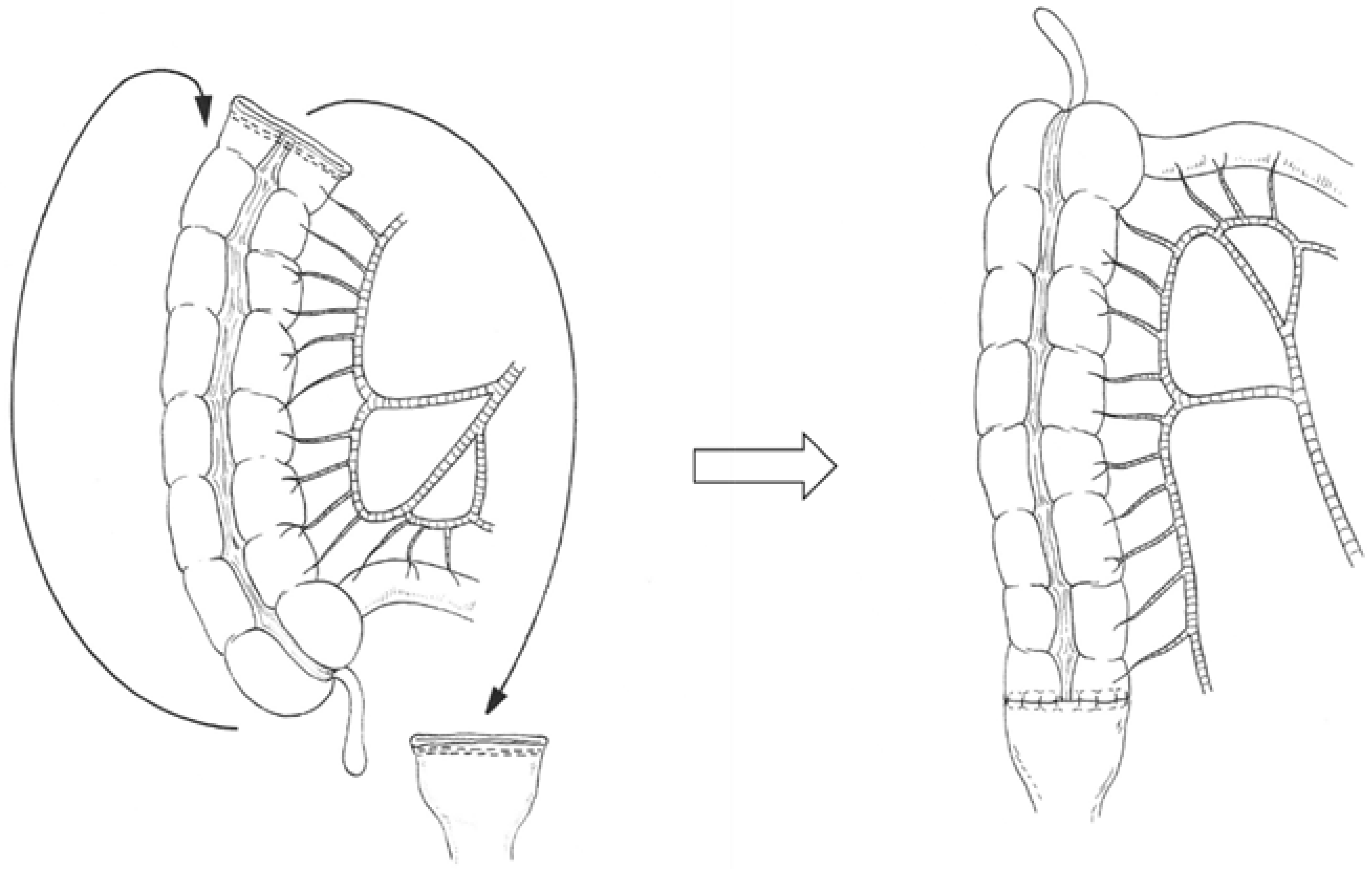 Cancers 13 04248 g001