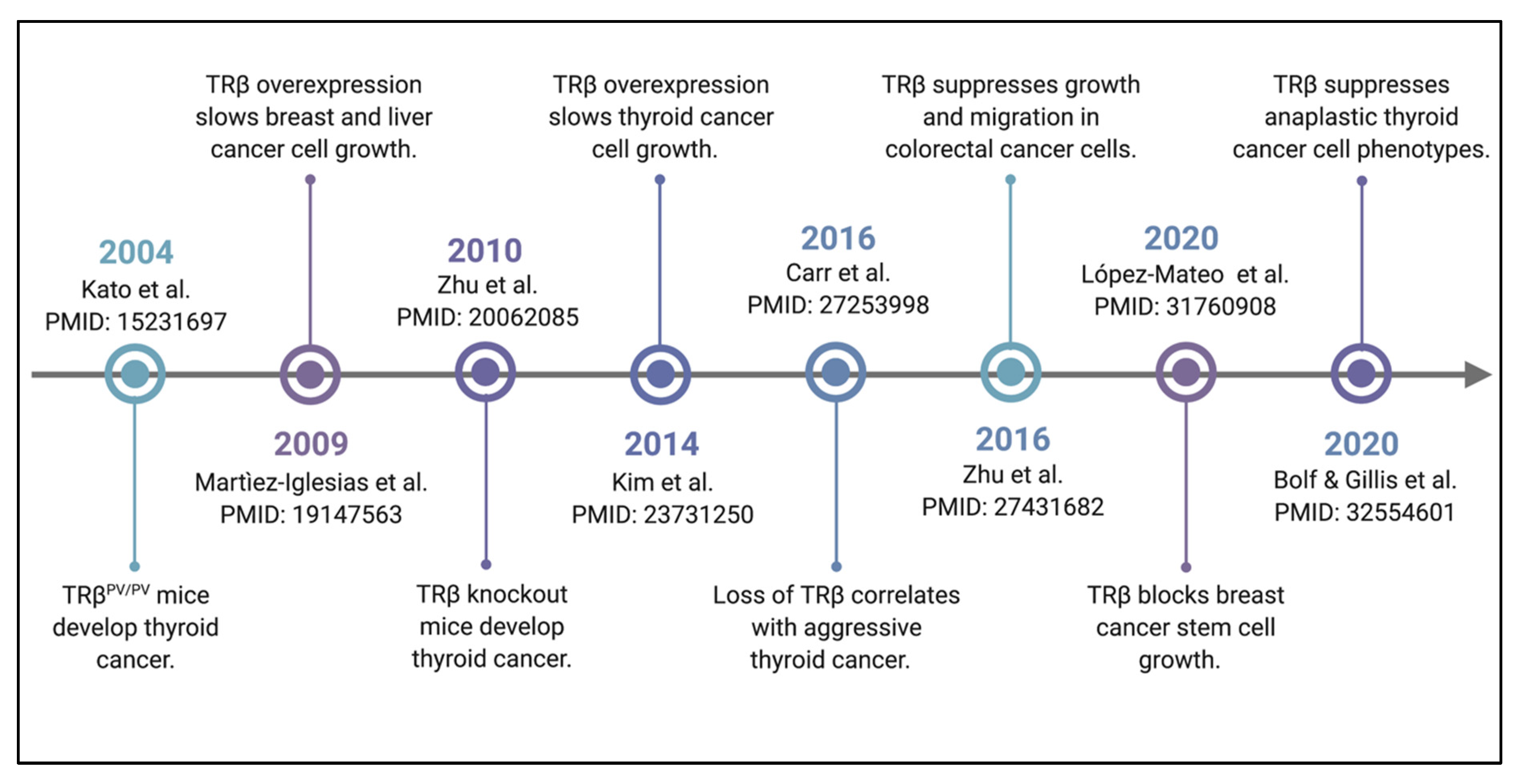 Cancers 13 04254 g001