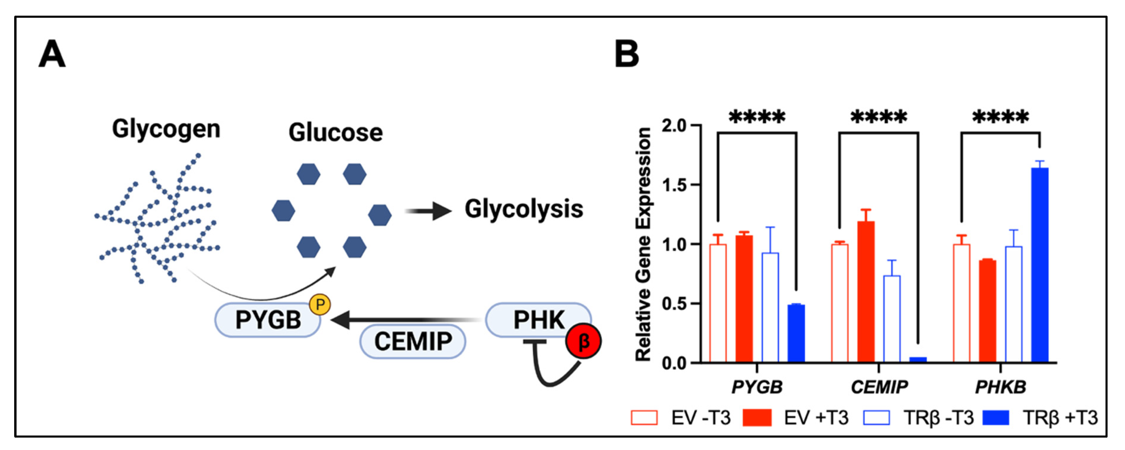Cancers 13 04254 g003