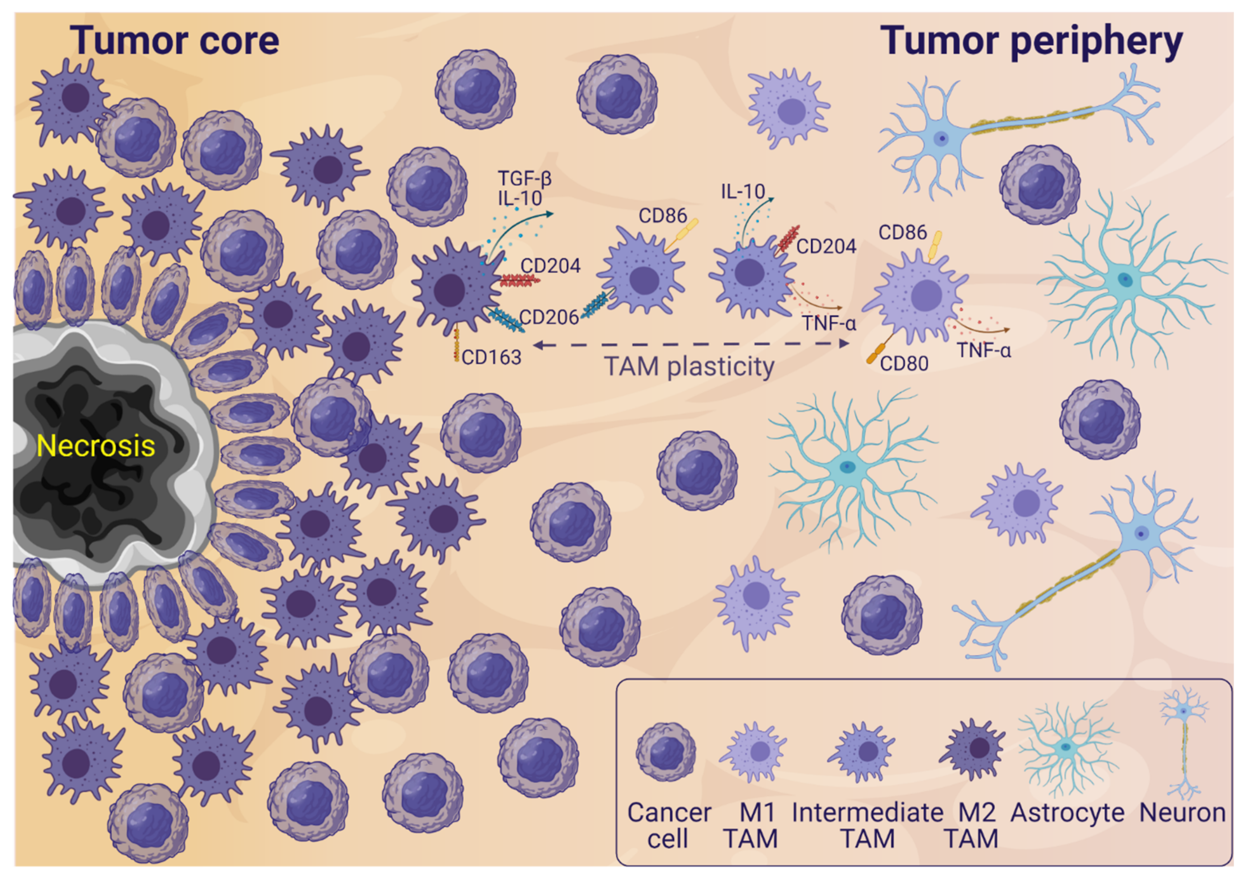 Cancers 13 04255 g001