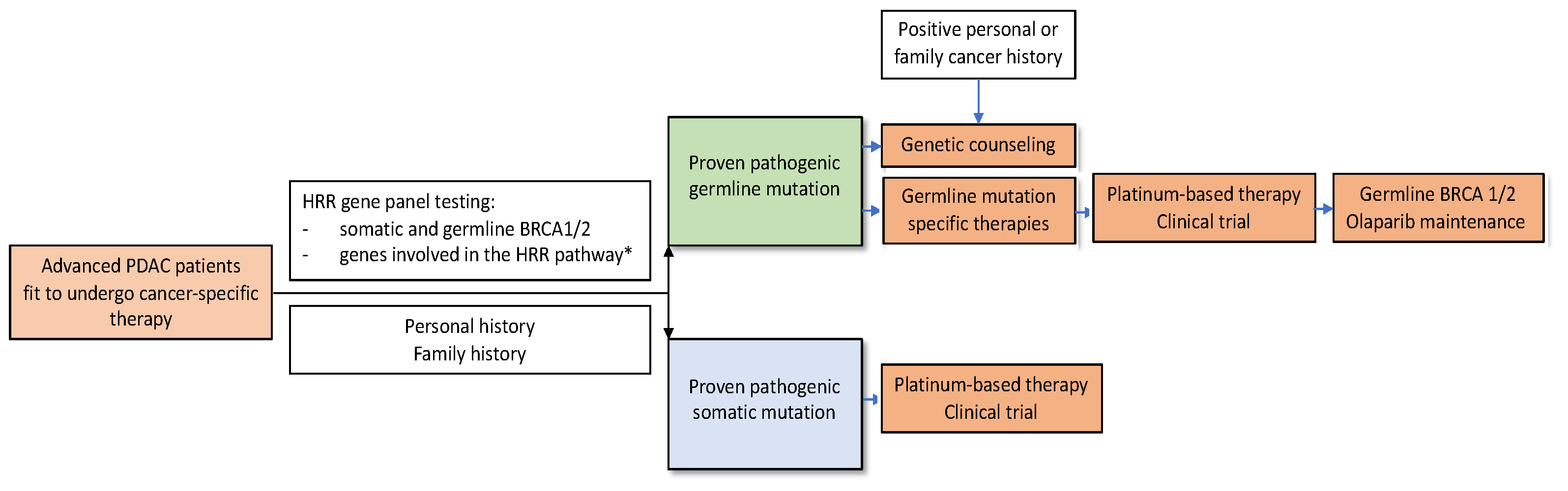 Cancers 13 04259 g001