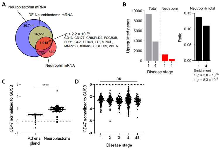 Cancers 13 04261 g001
