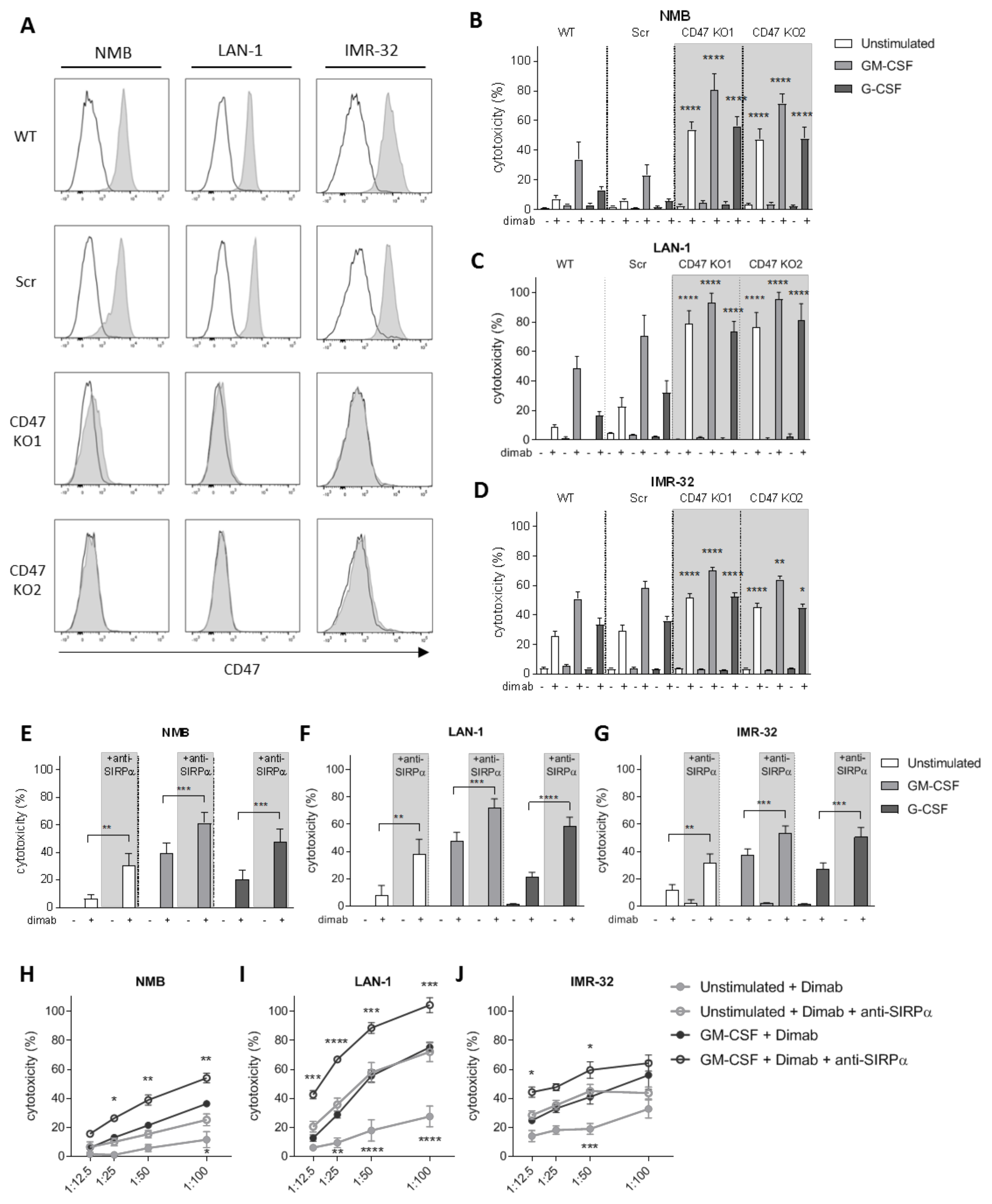 Cancers 13 04261 g002