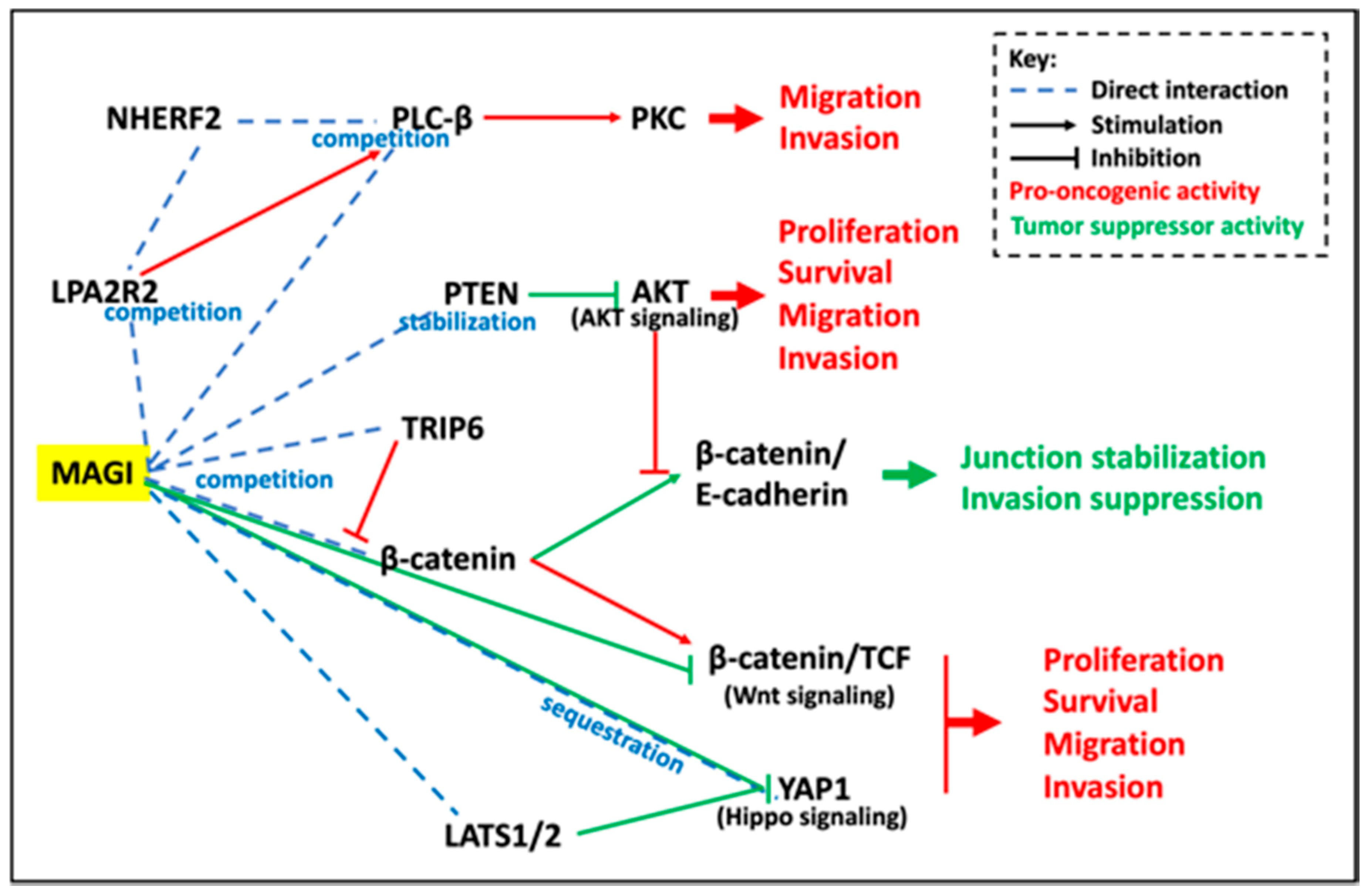 Cancers 13 04264 g003