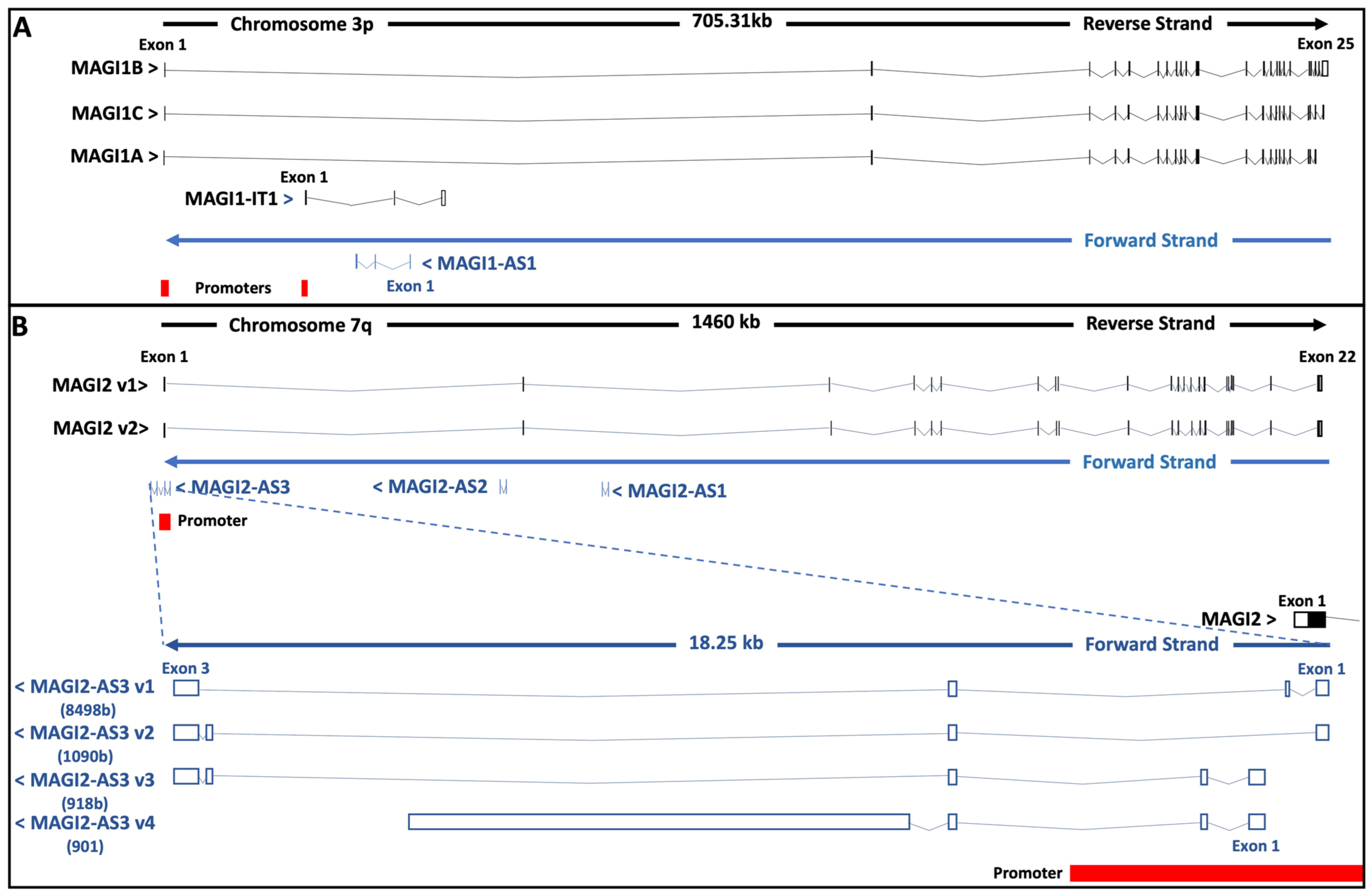 Cancers 13 04264 g004
