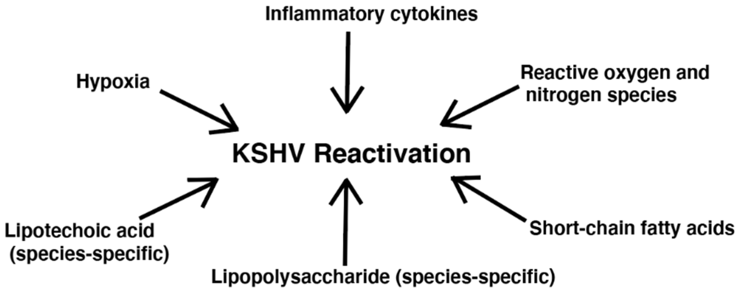 Cancers 13 04269 g002