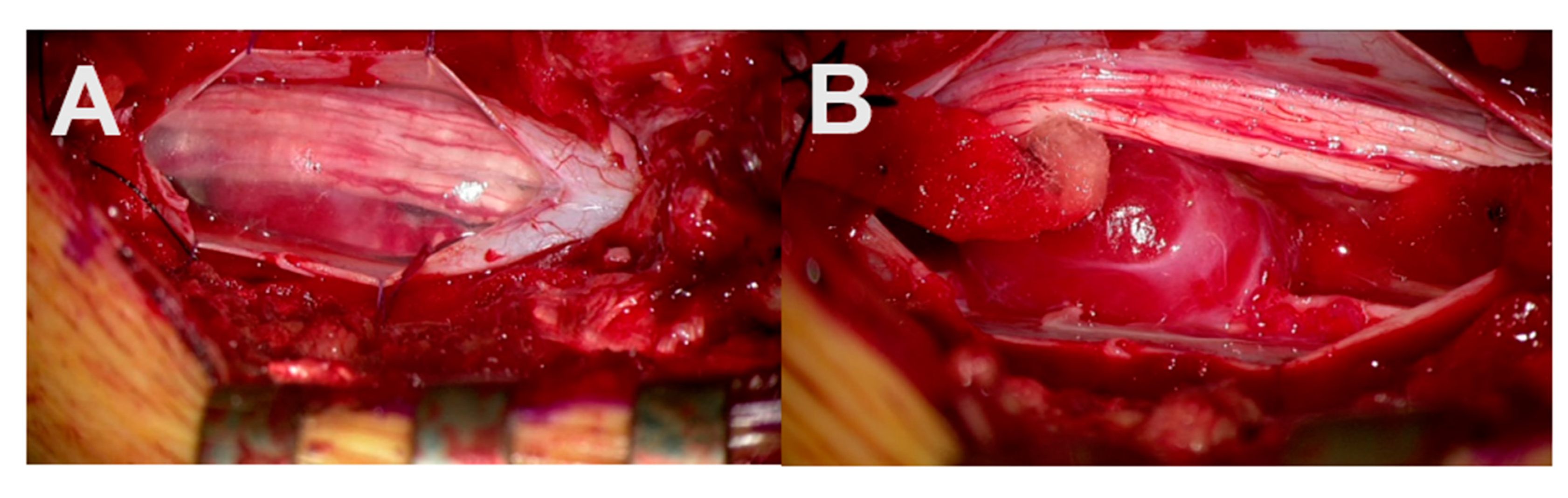 Cancers 13 04273 g006