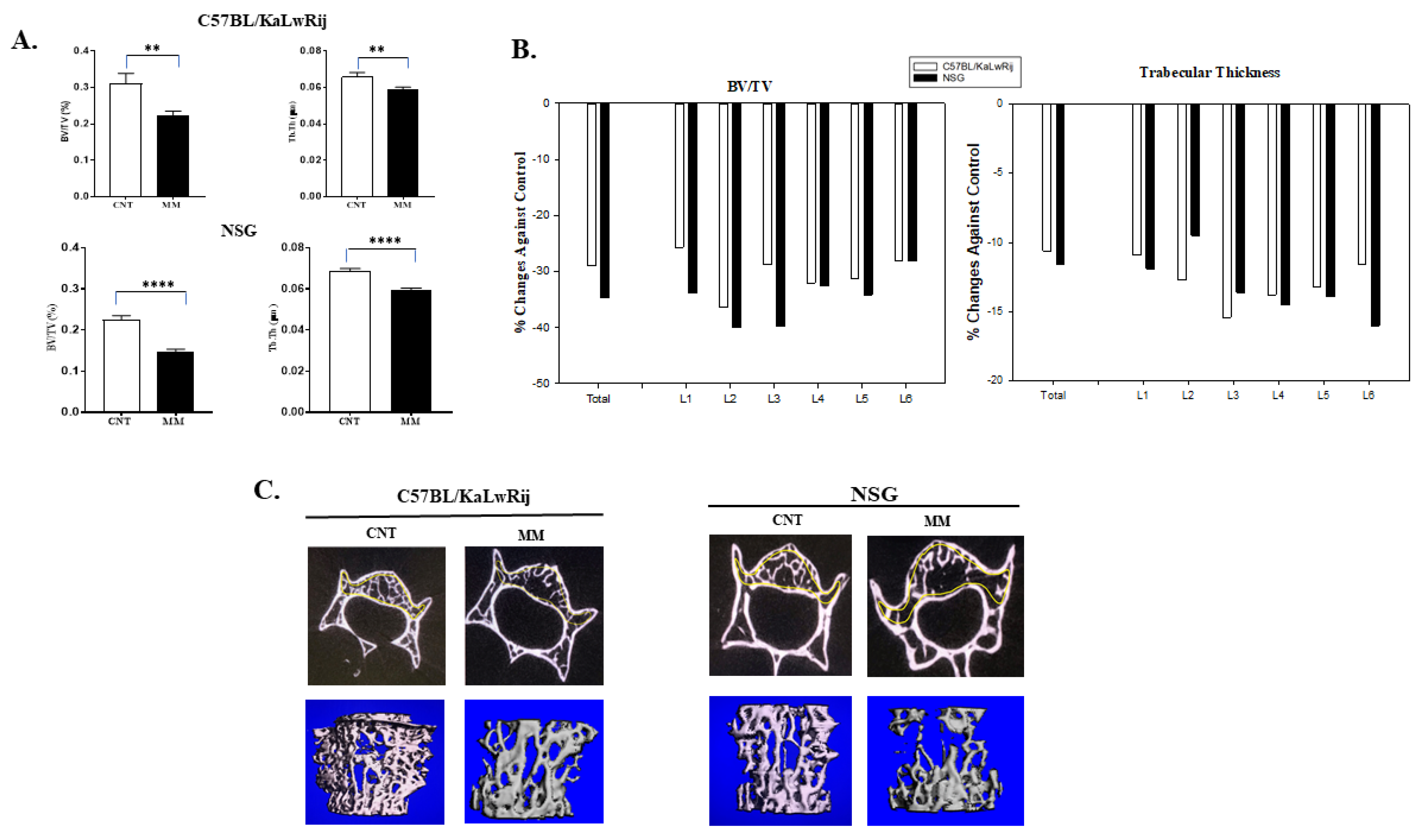 Cancers 13 04277 g004