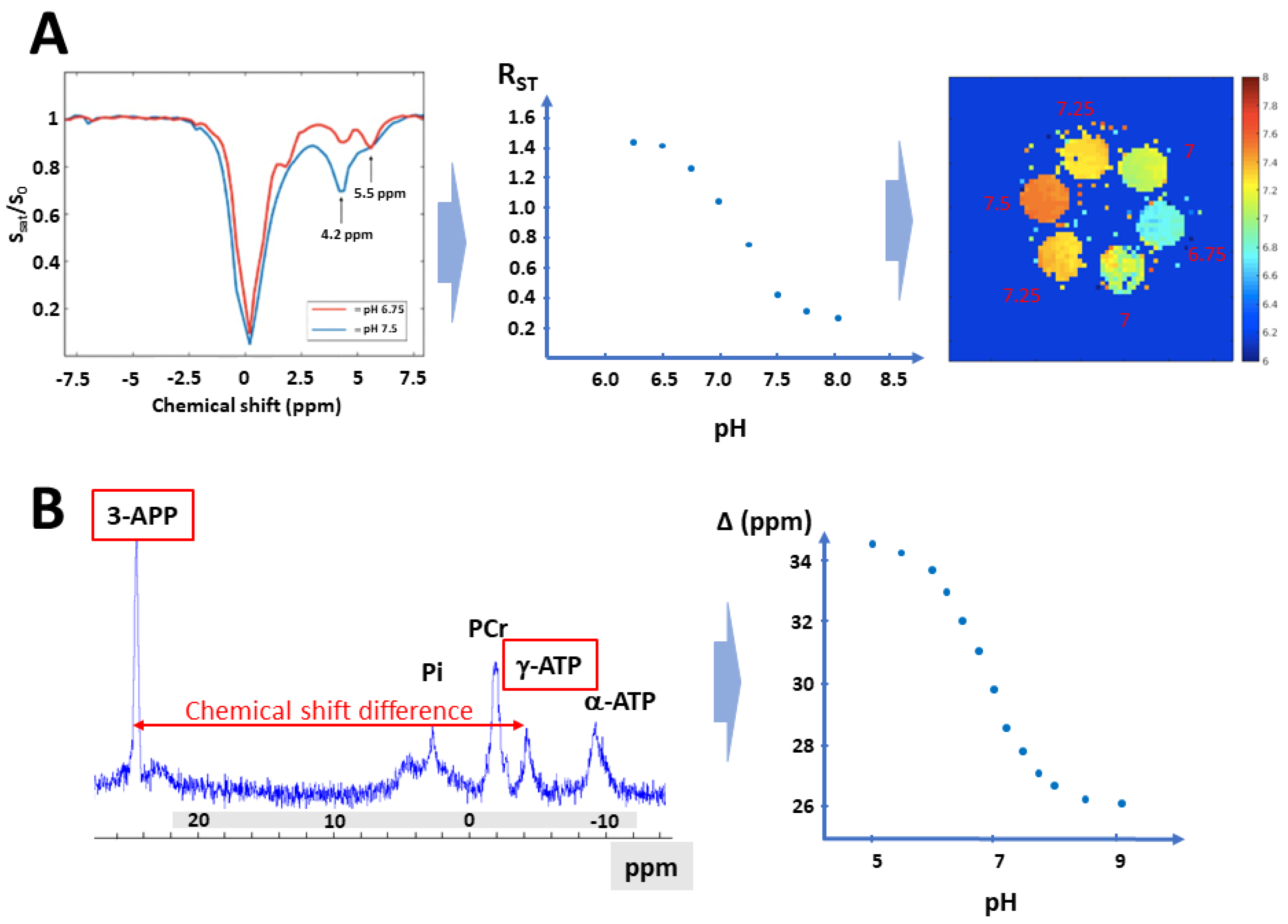 Cancers 13 04278 g002 Cancers 13 04278 g002