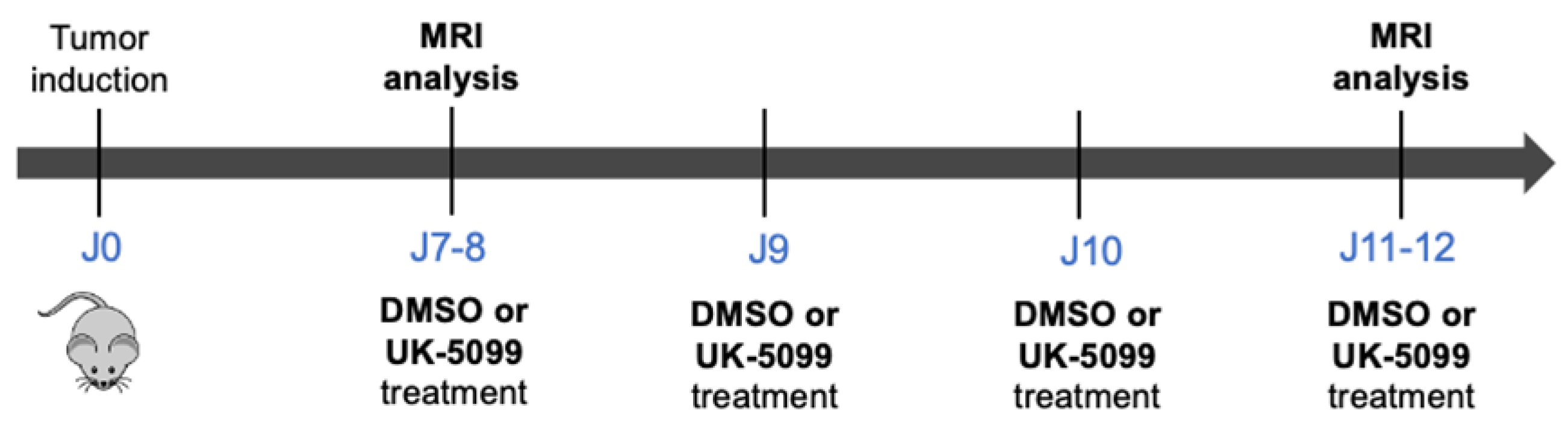 Cancers 13 04278 g003 Cancers 13 04278 g003