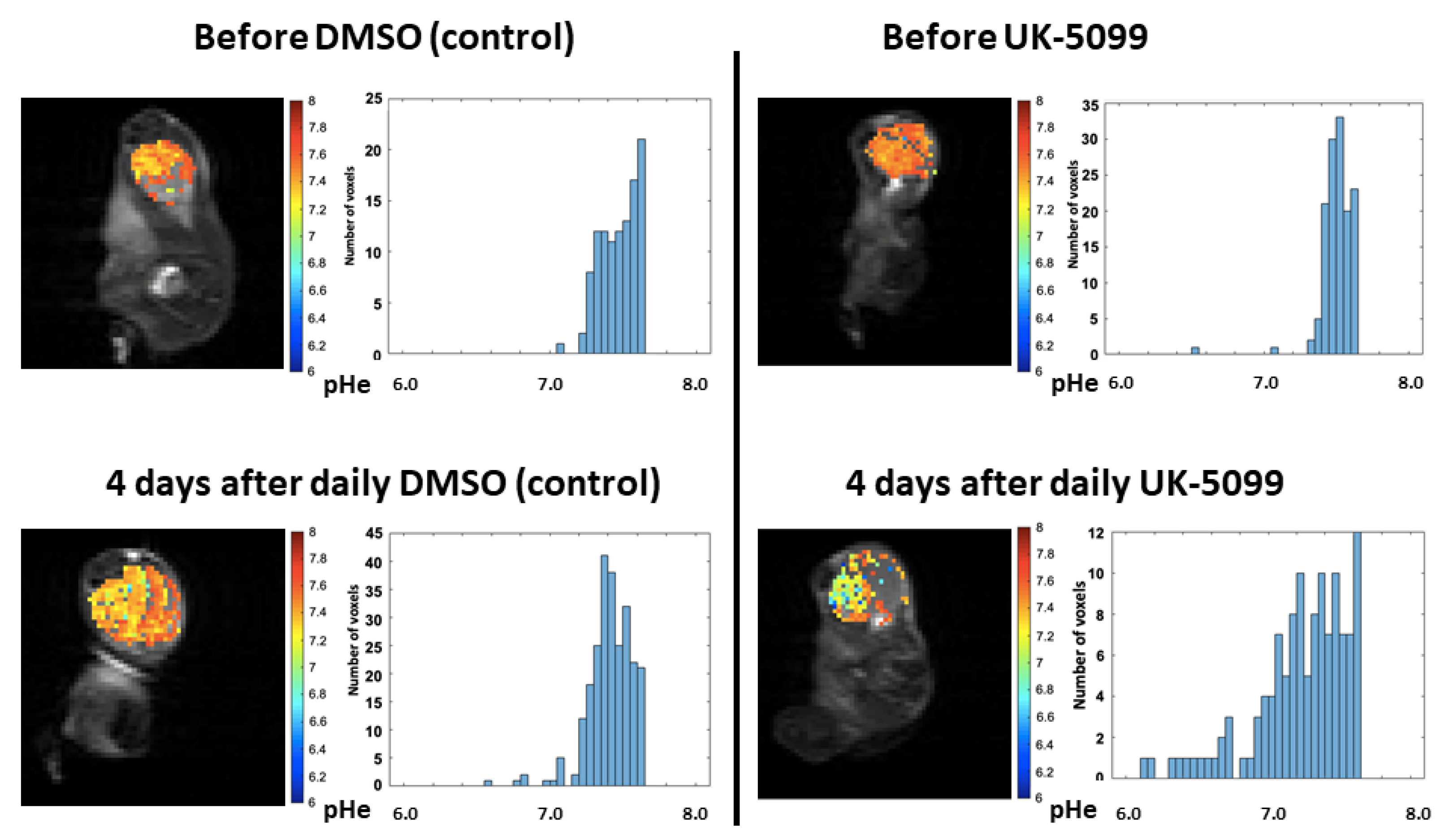 Cancers 13 04278 g005 Cancers 13 04278 g005