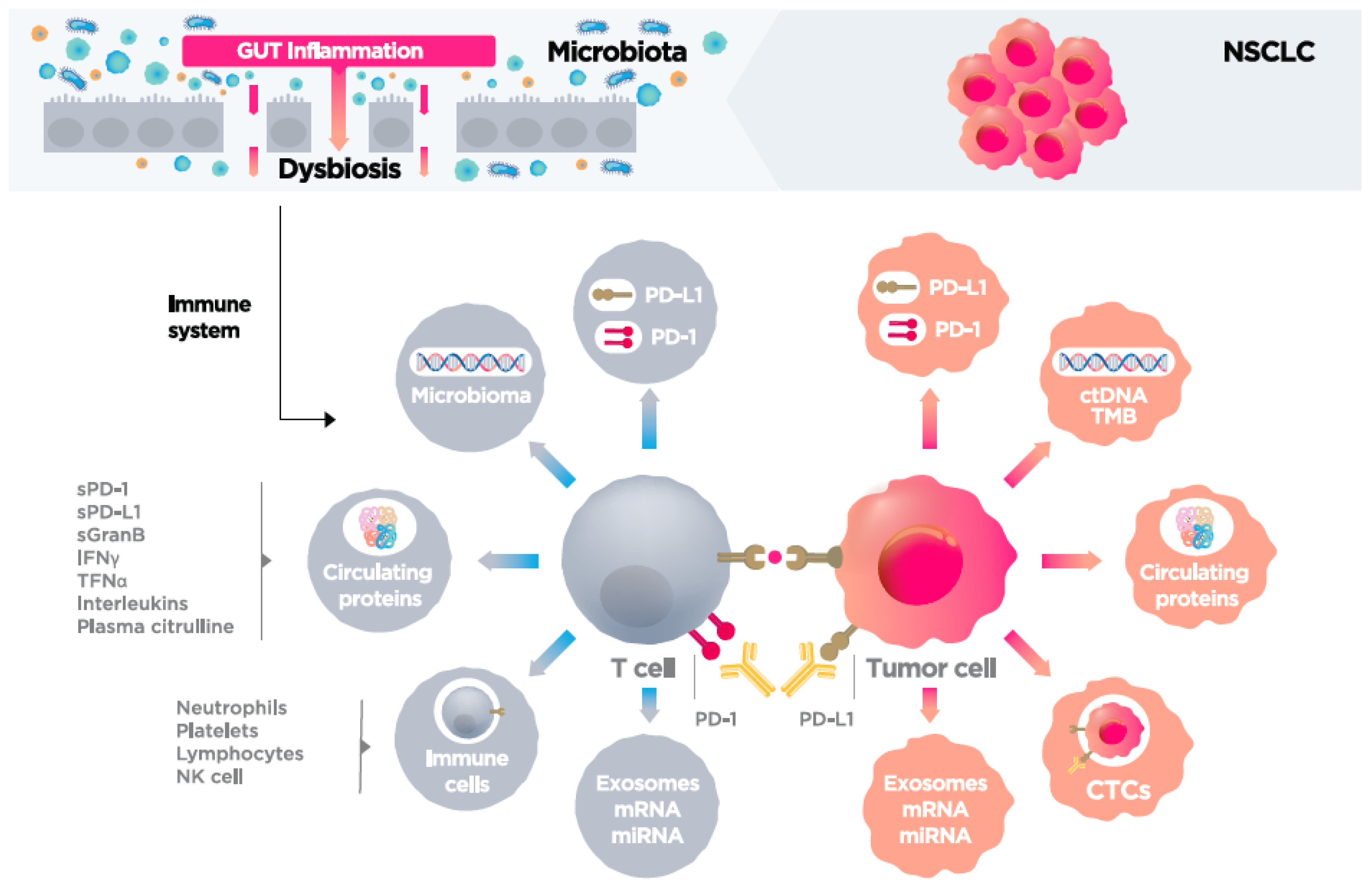 Cancers 13 04280 g001