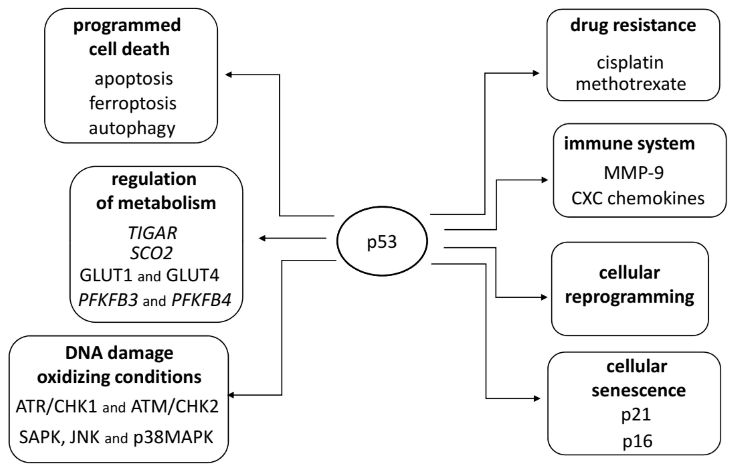Cancers 13 04284 g001