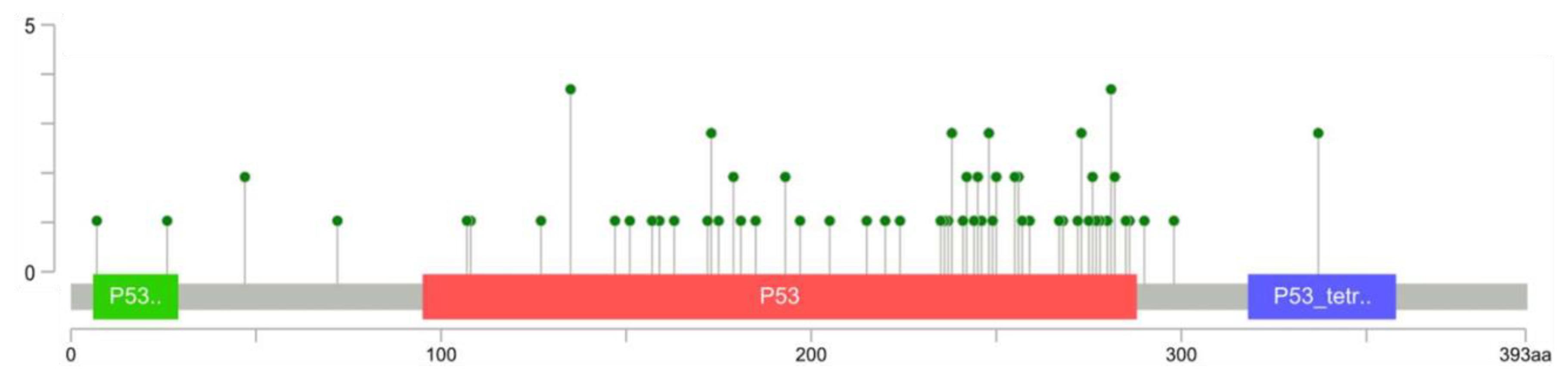 Cancers 13 04284 g002
