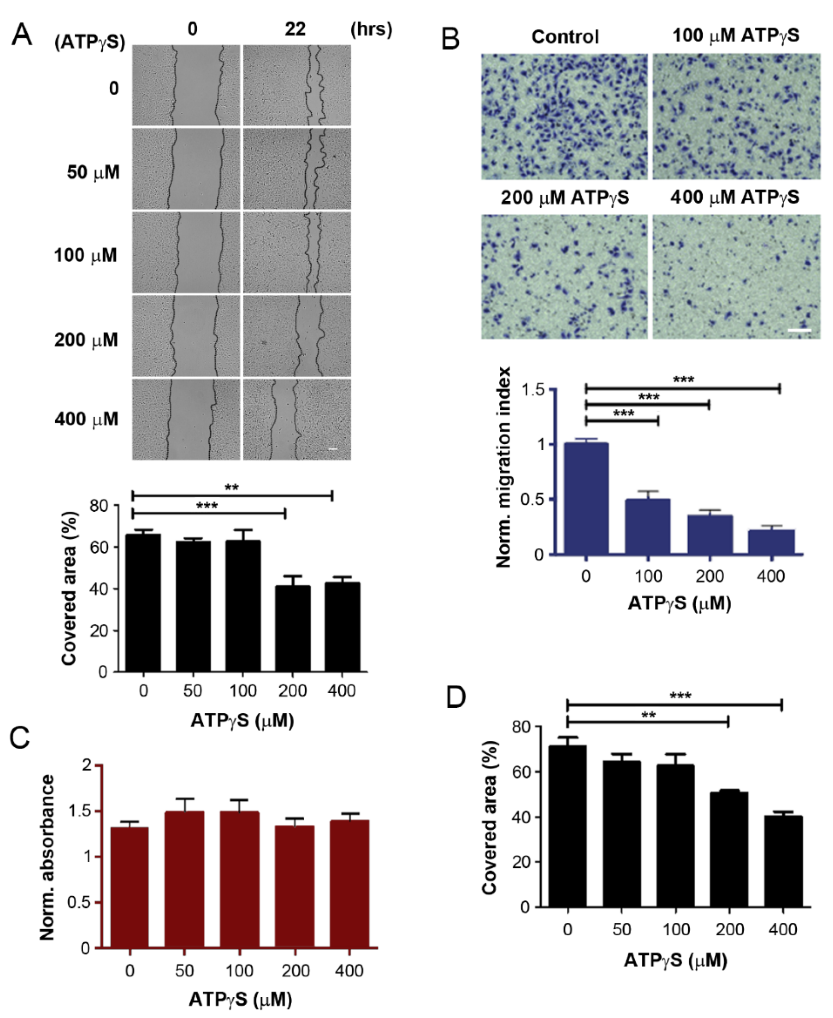 Cancers 13 04293 g001